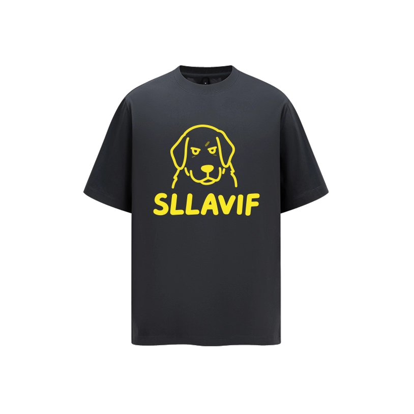 SLLAVIF T