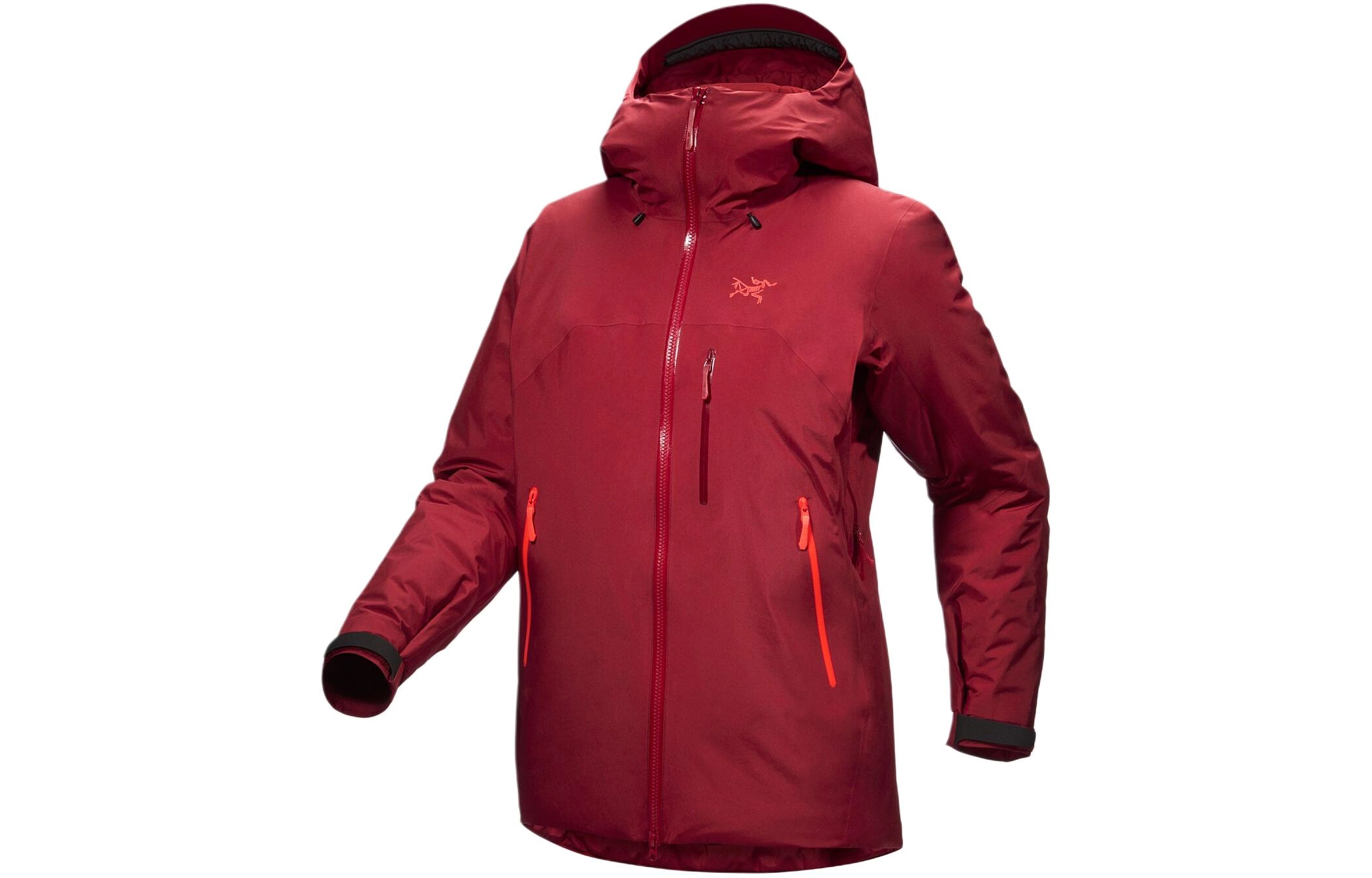 Arcteryx Beta Insulated Gore-tex Logo