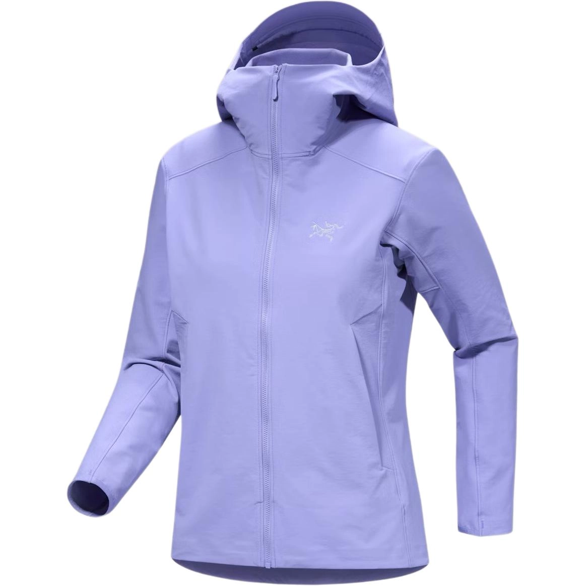 Arcteryx GAMMA gamma hoody