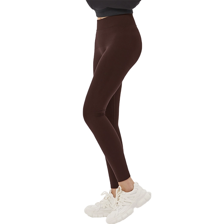 MOLY VIVI 2024