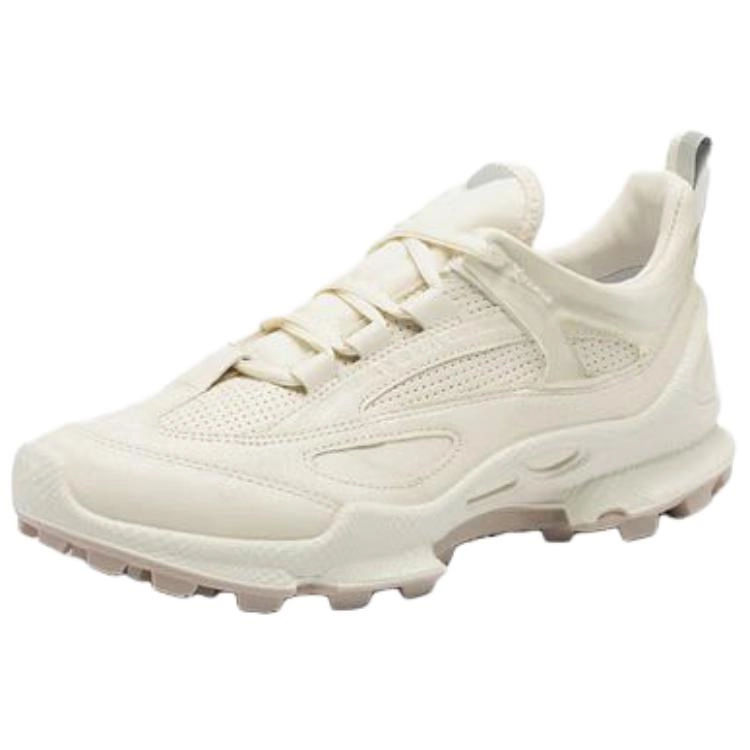 ecco Biom C Trail