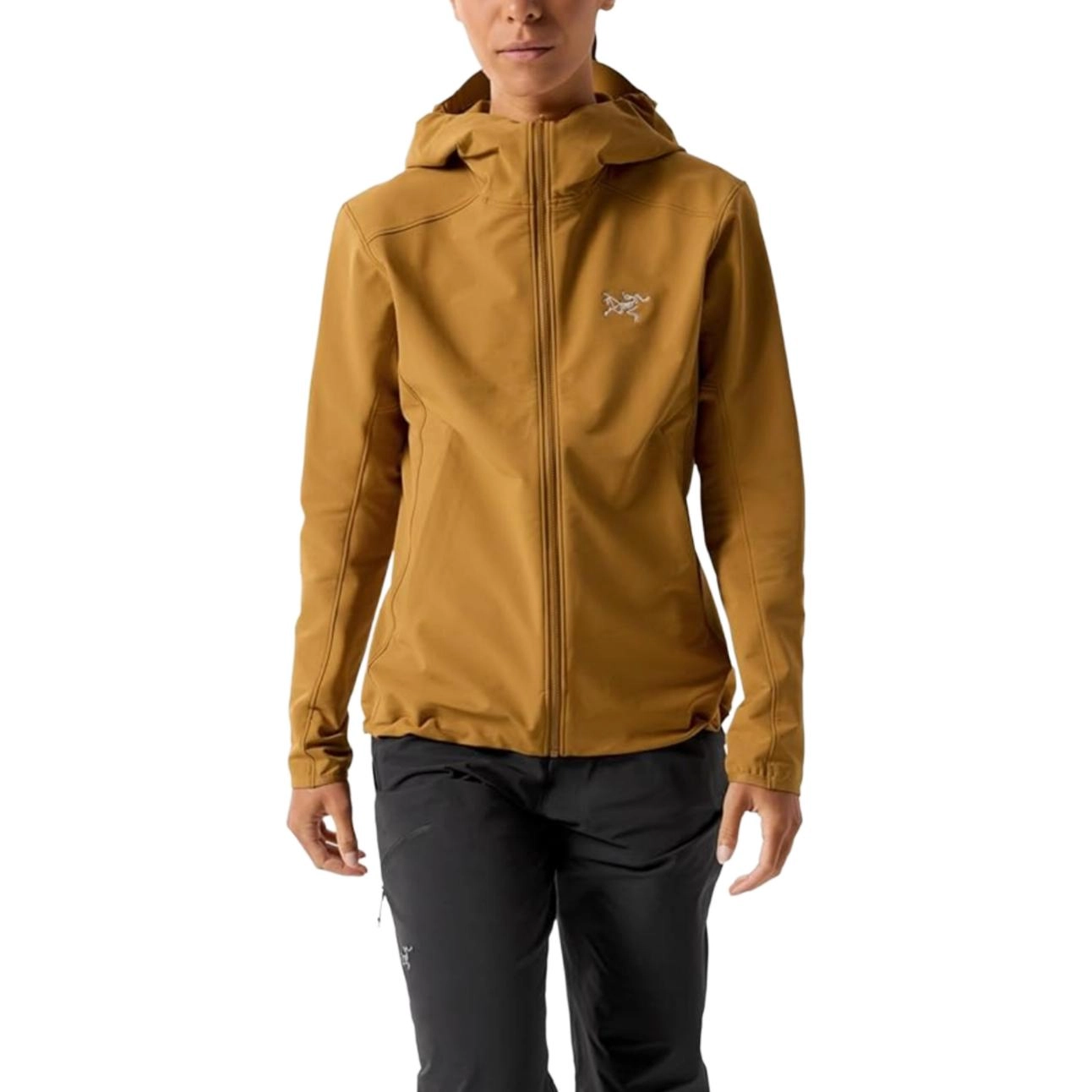 Arcteryx GAMMA gamma hoody