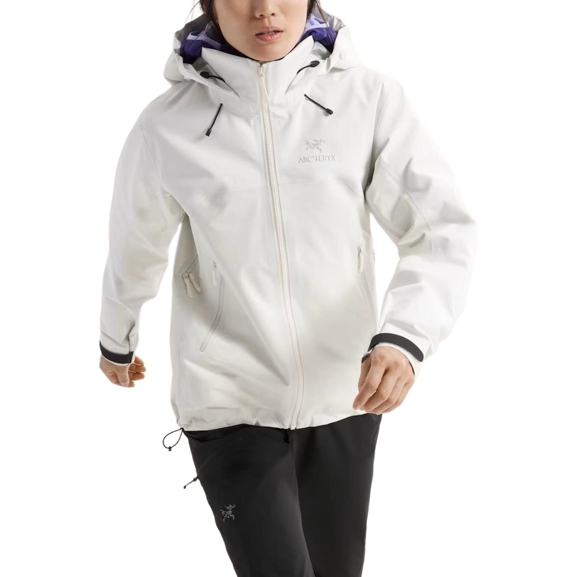 Arcteryx Beta Beta Ar Gore-Tex Logo