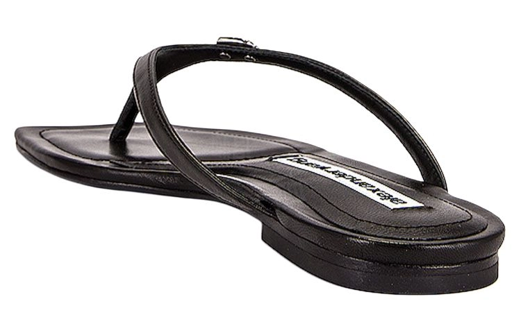 alexander wang Ivy