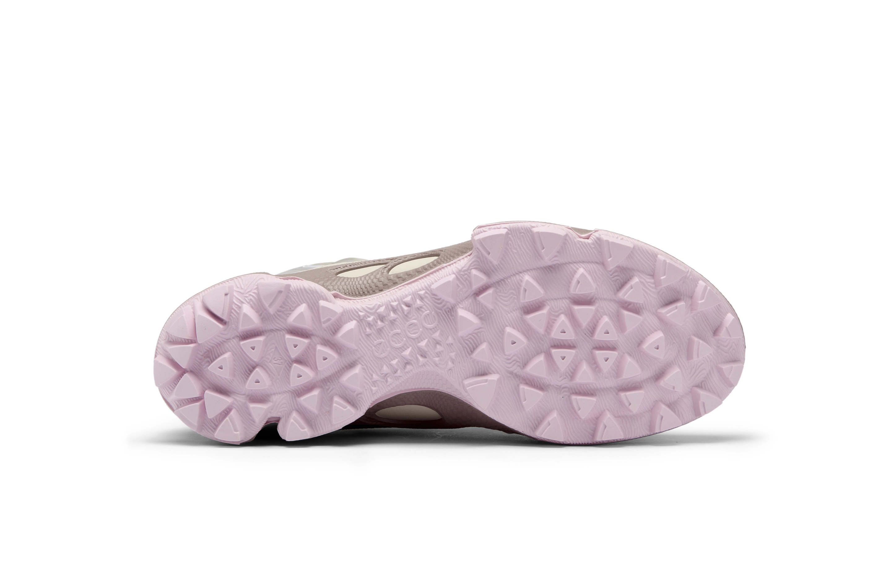 ecco Biom C Trail