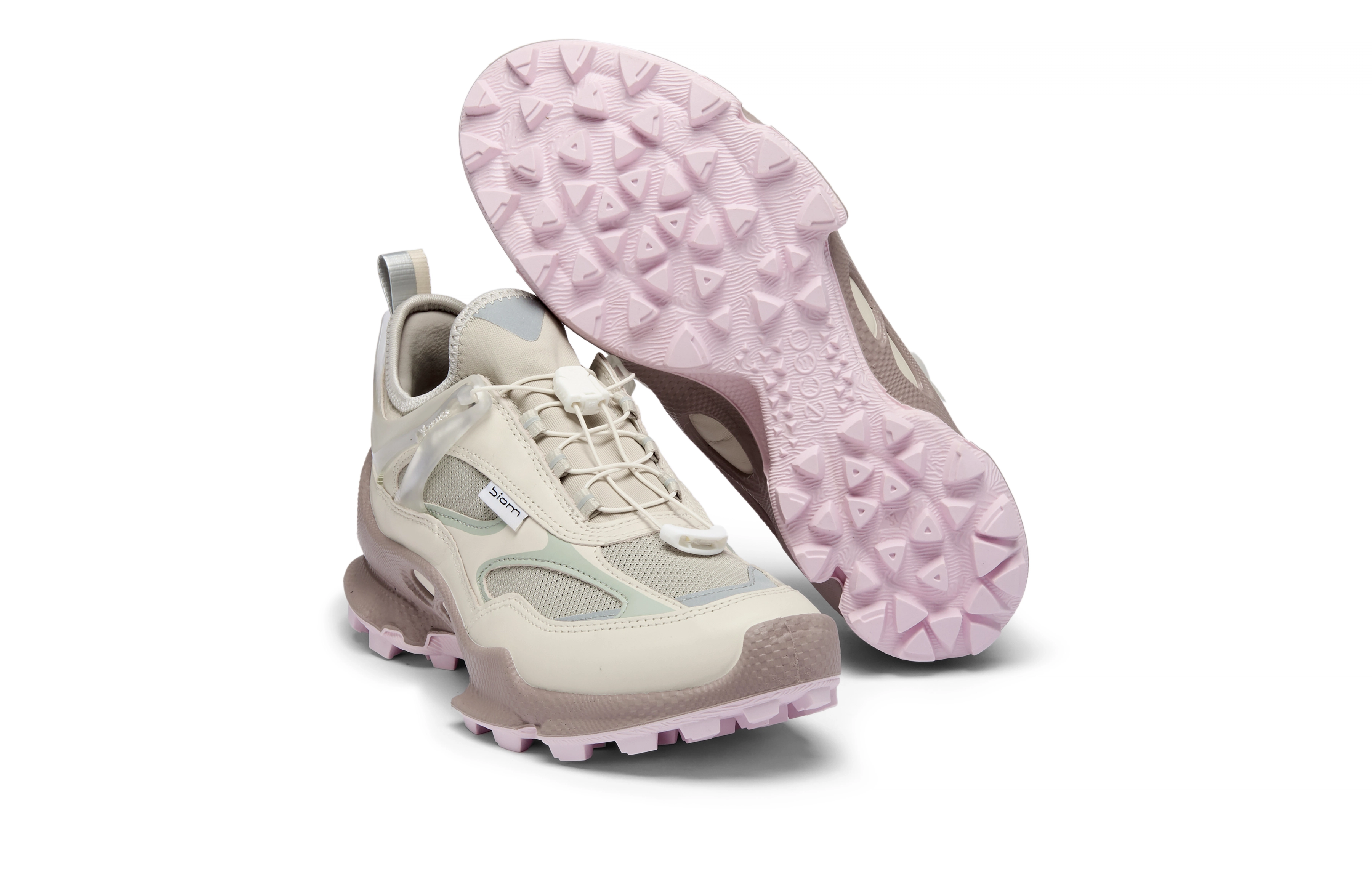 ecco Biom C Trail