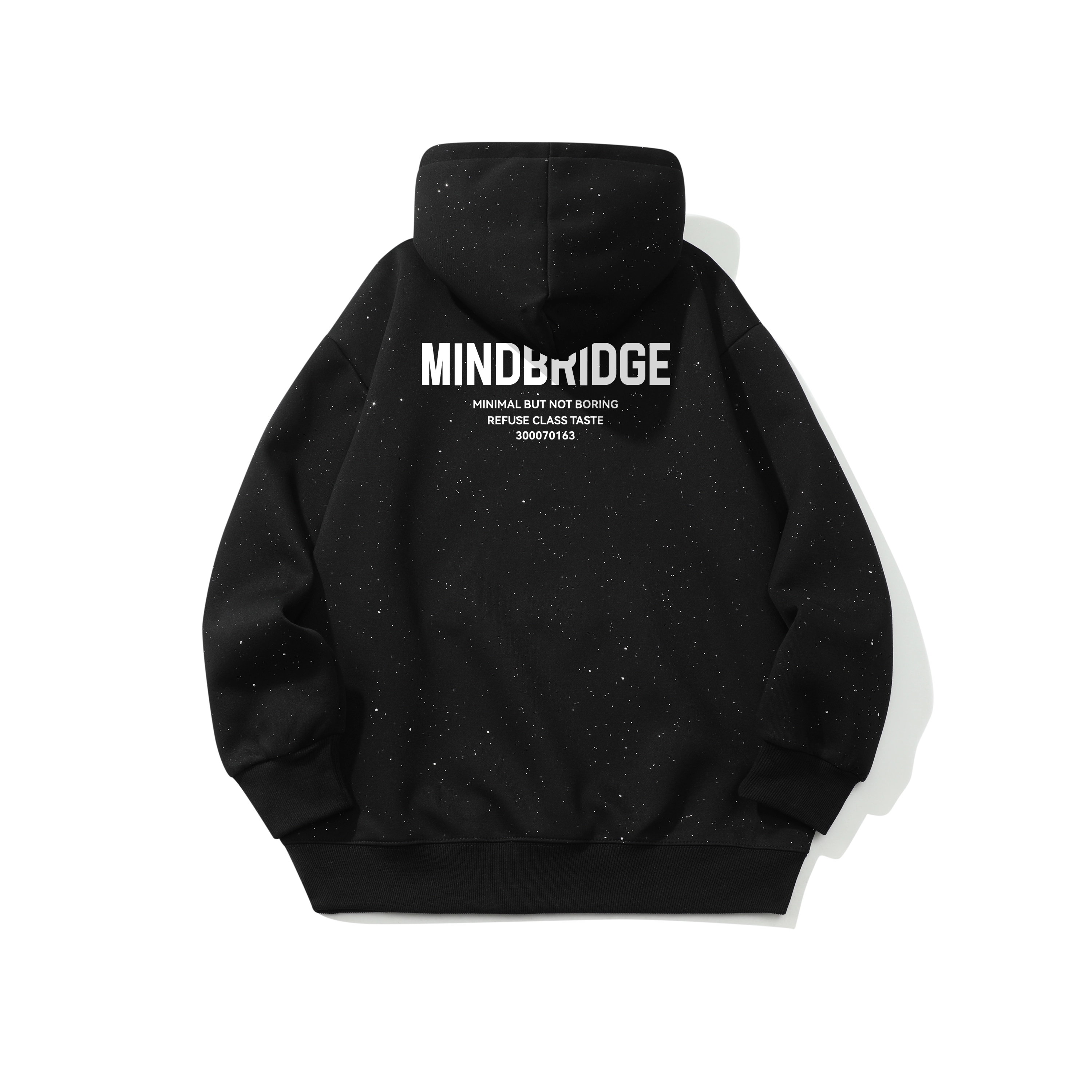 MindBridge Logocleanfit