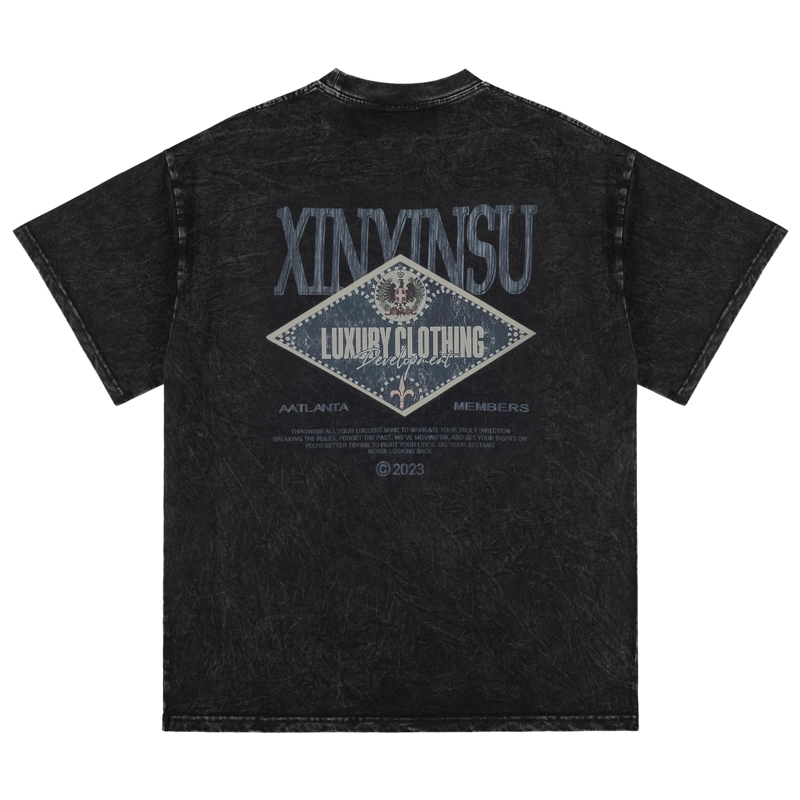 XINYINSU T