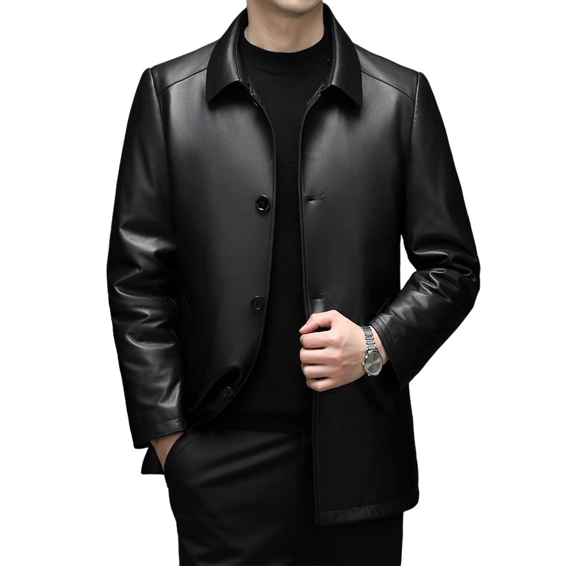 PIERRE CARDIN