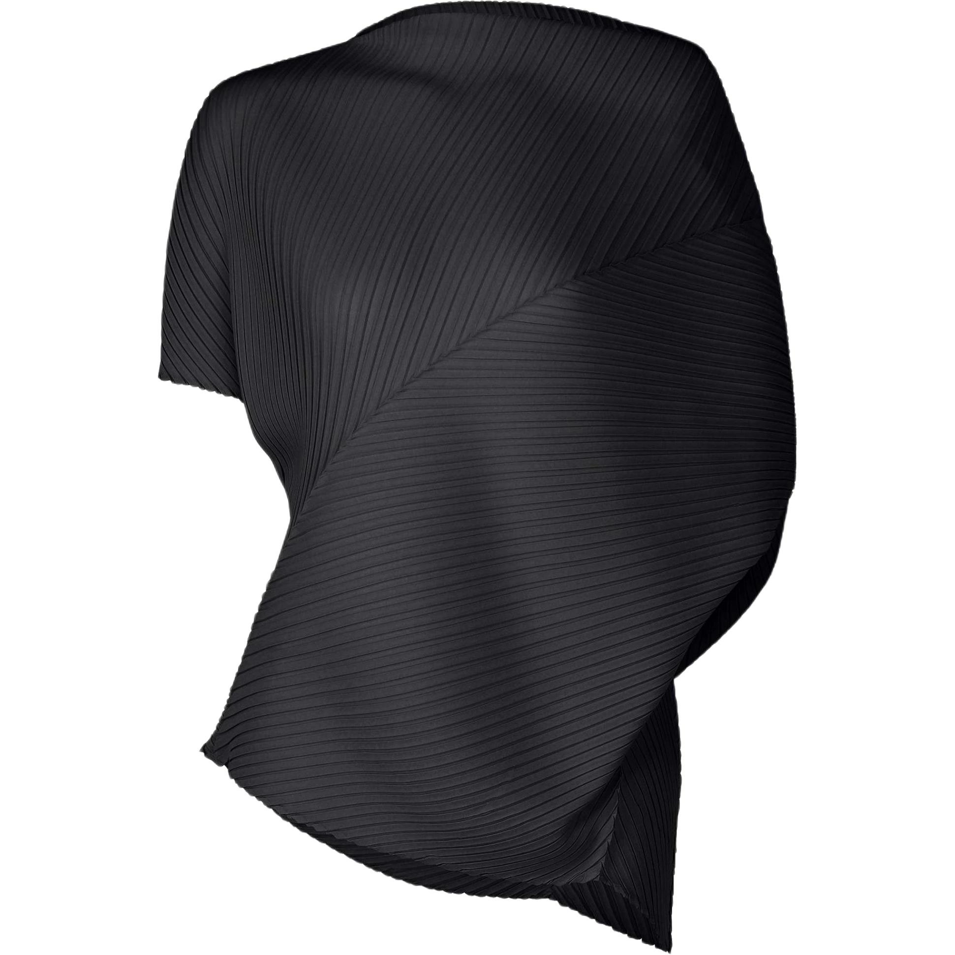ISSEY MIYAKE FW25