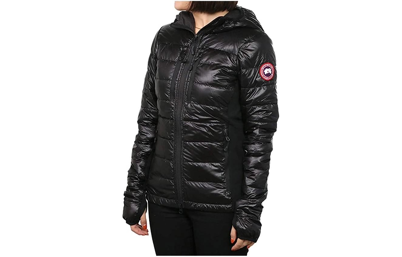 Canada Goose