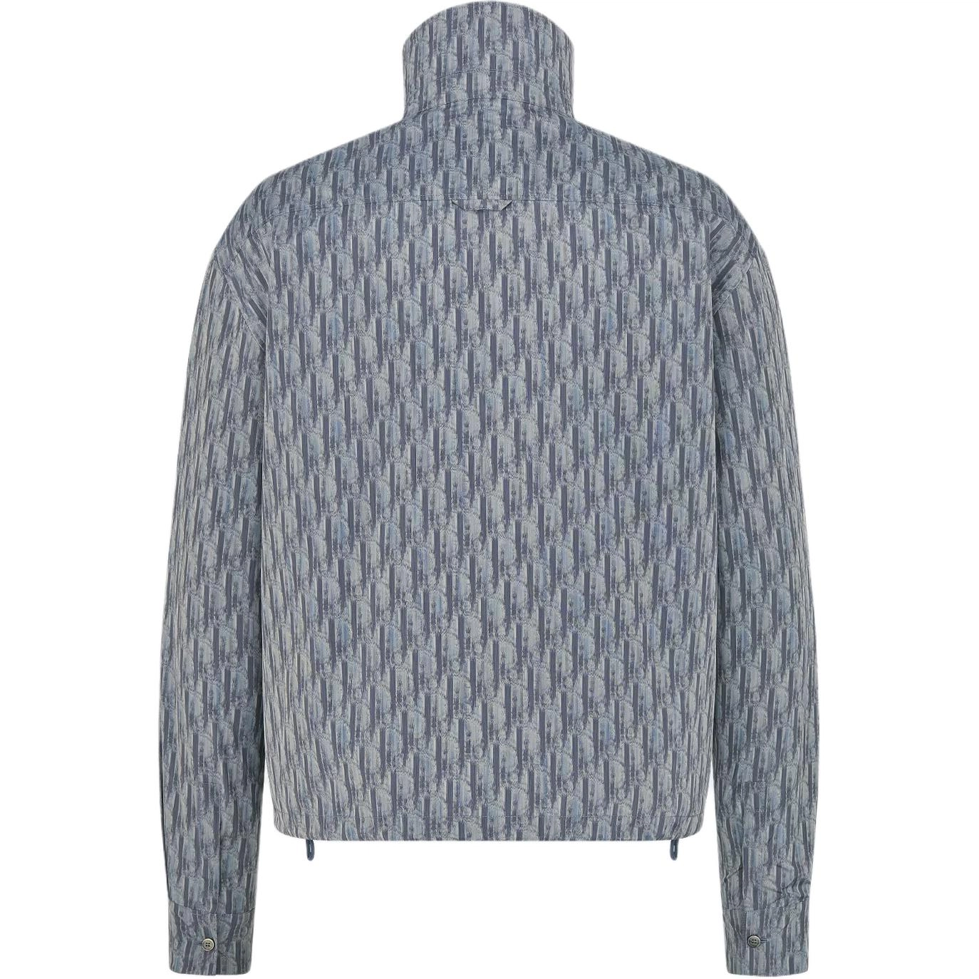 DIOR FW25 Oblique