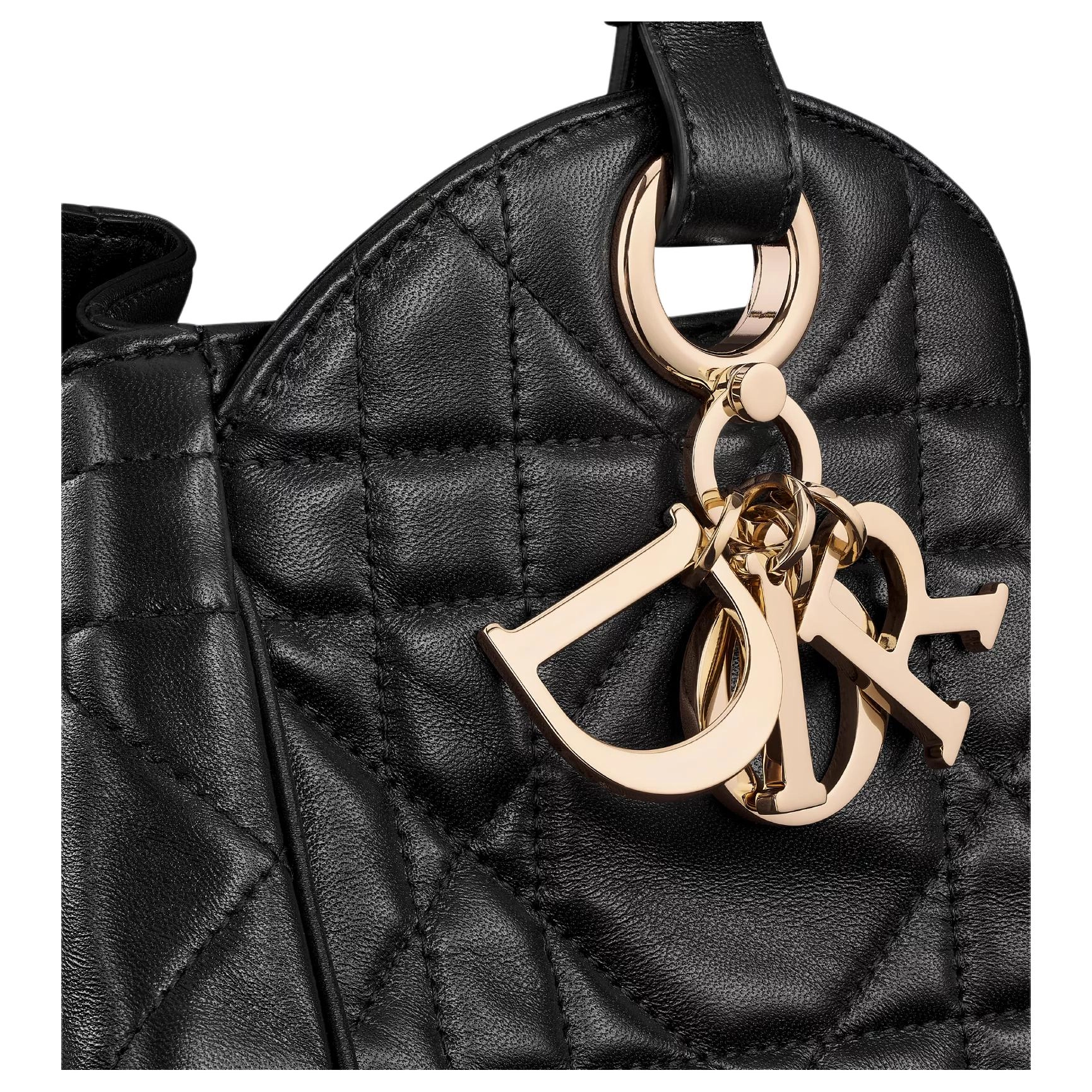 DIOR D-Motion