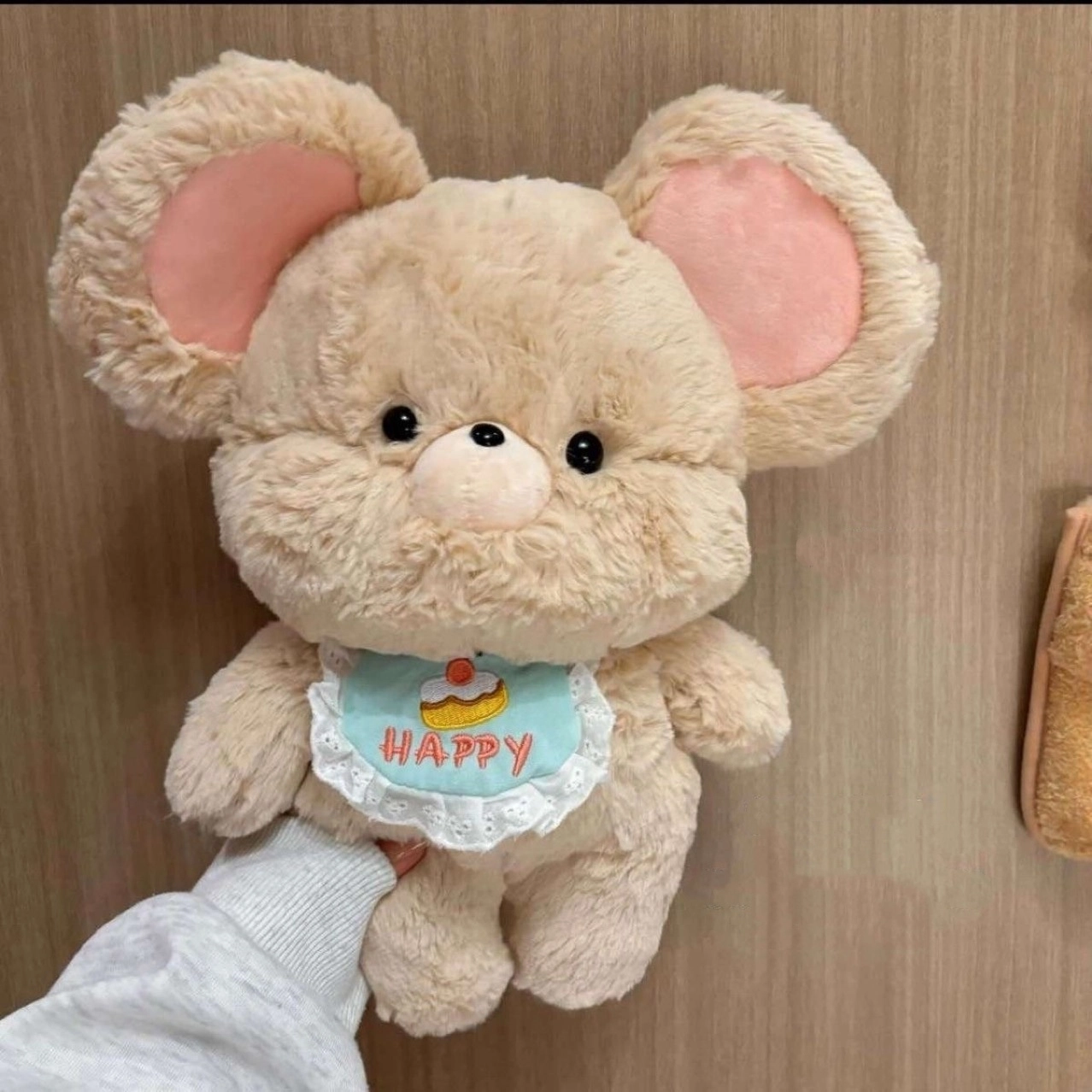 20cm30cm