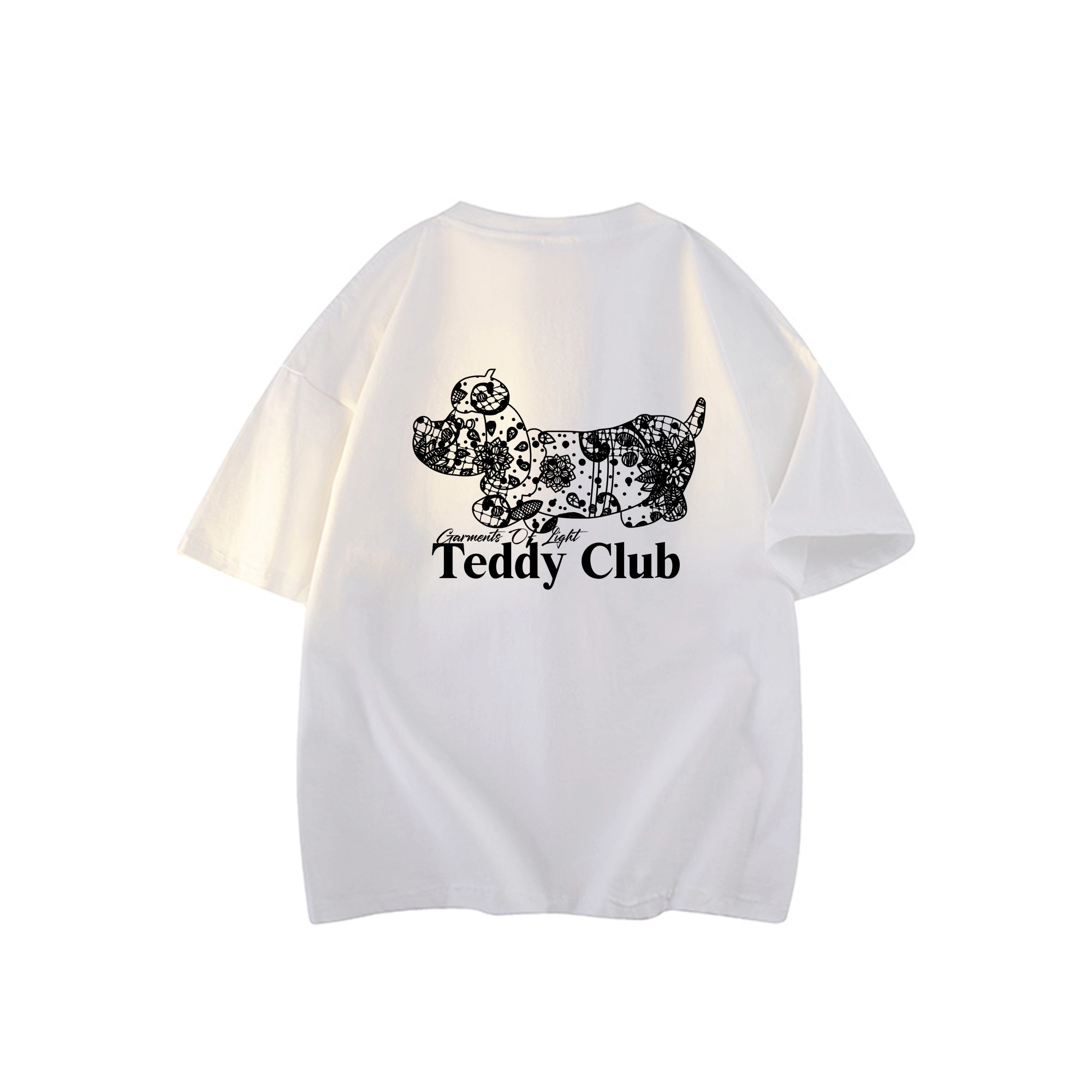 TEDDY College LOG0T