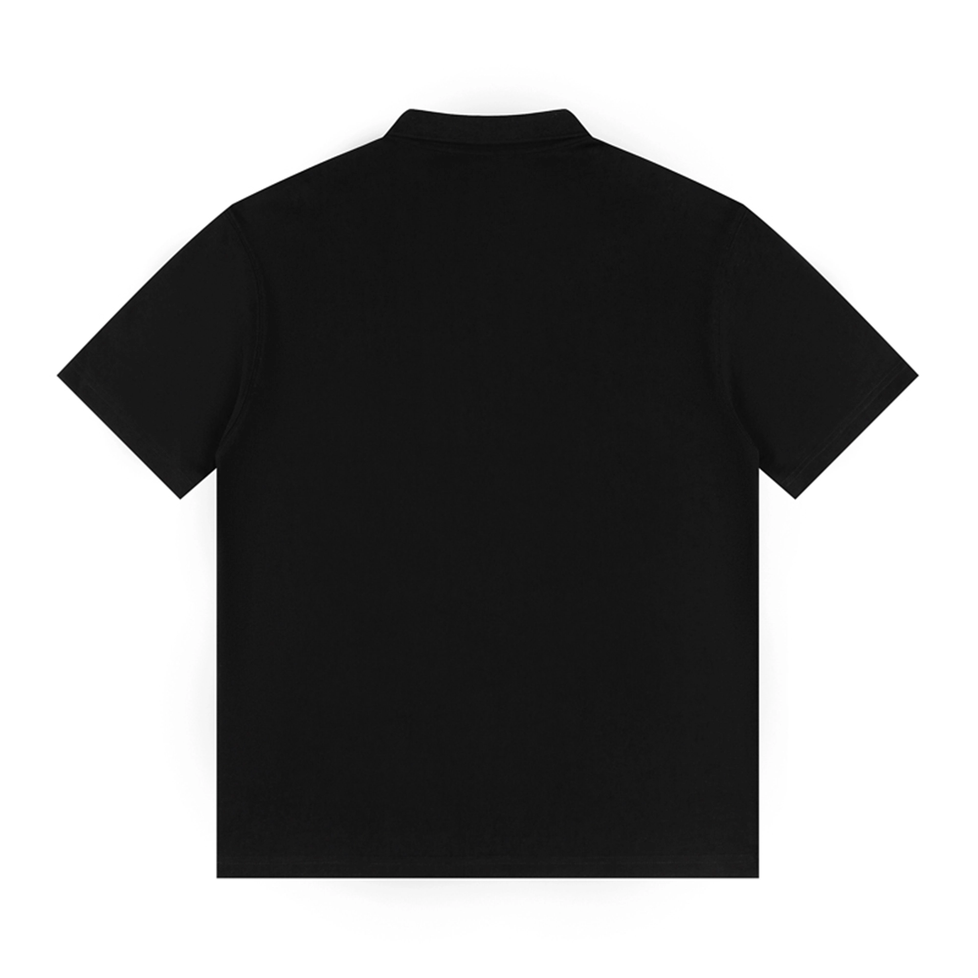 HIPANDA logoPolo