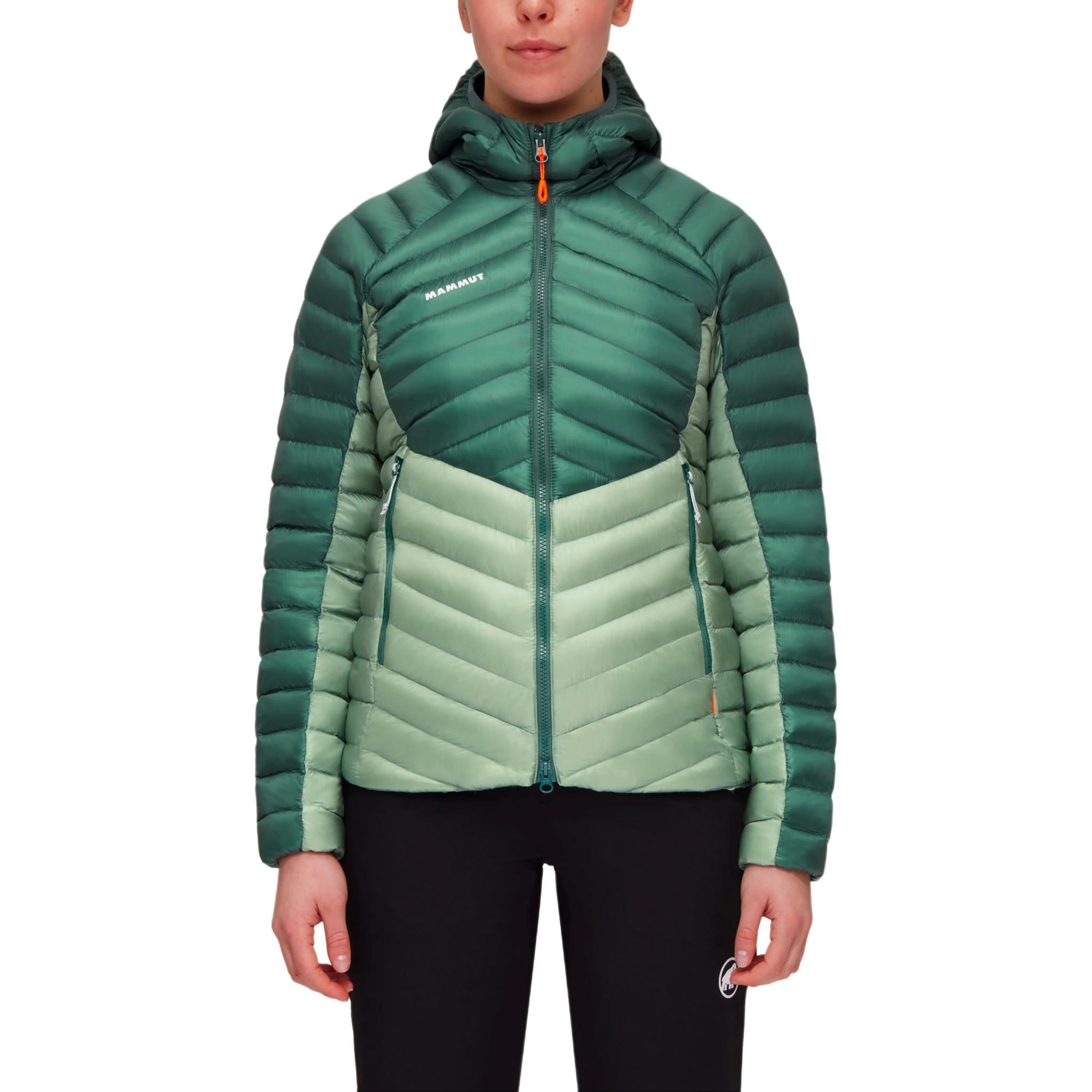 MAMMUT Broad