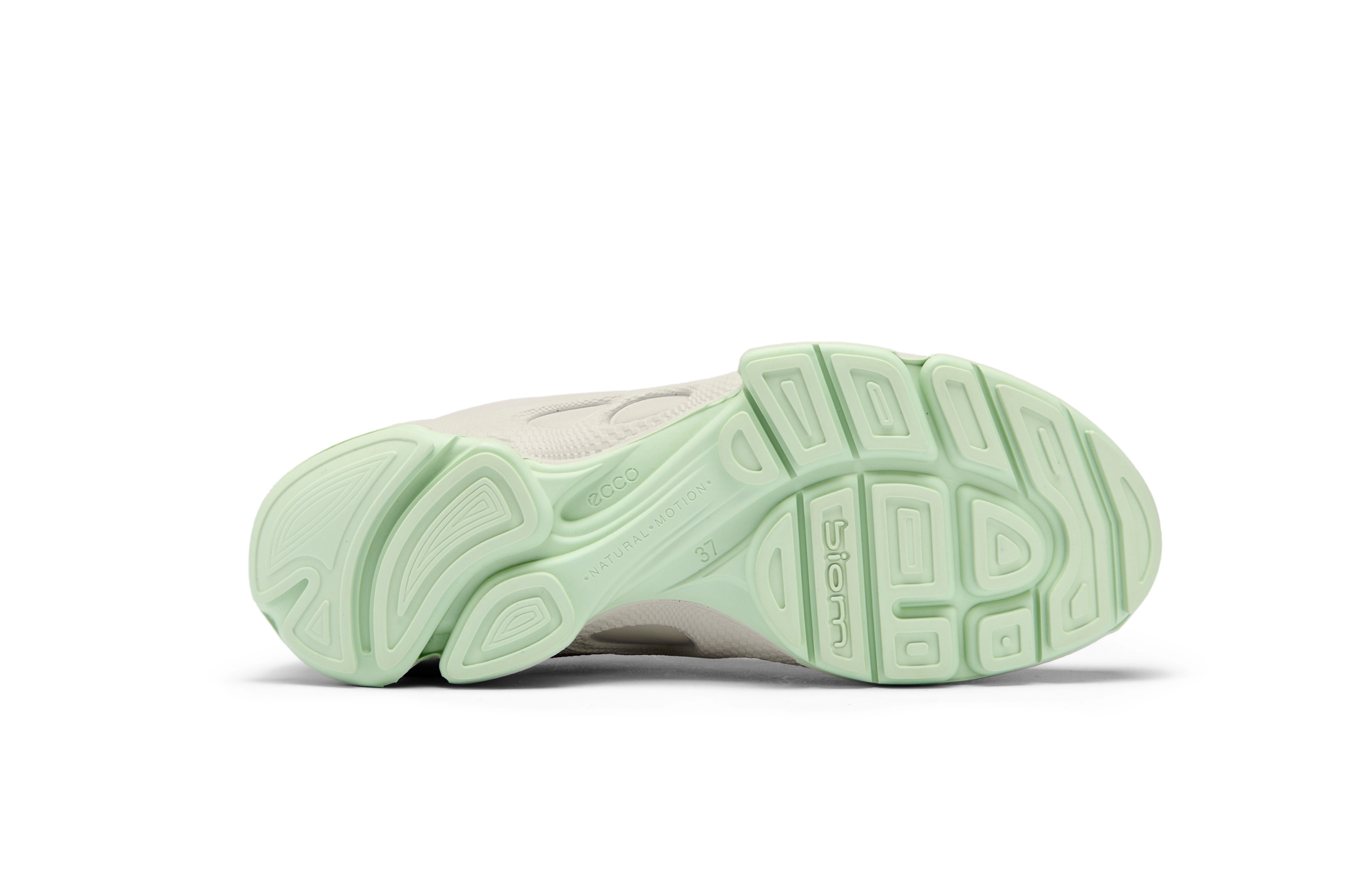 ecco Biom C
