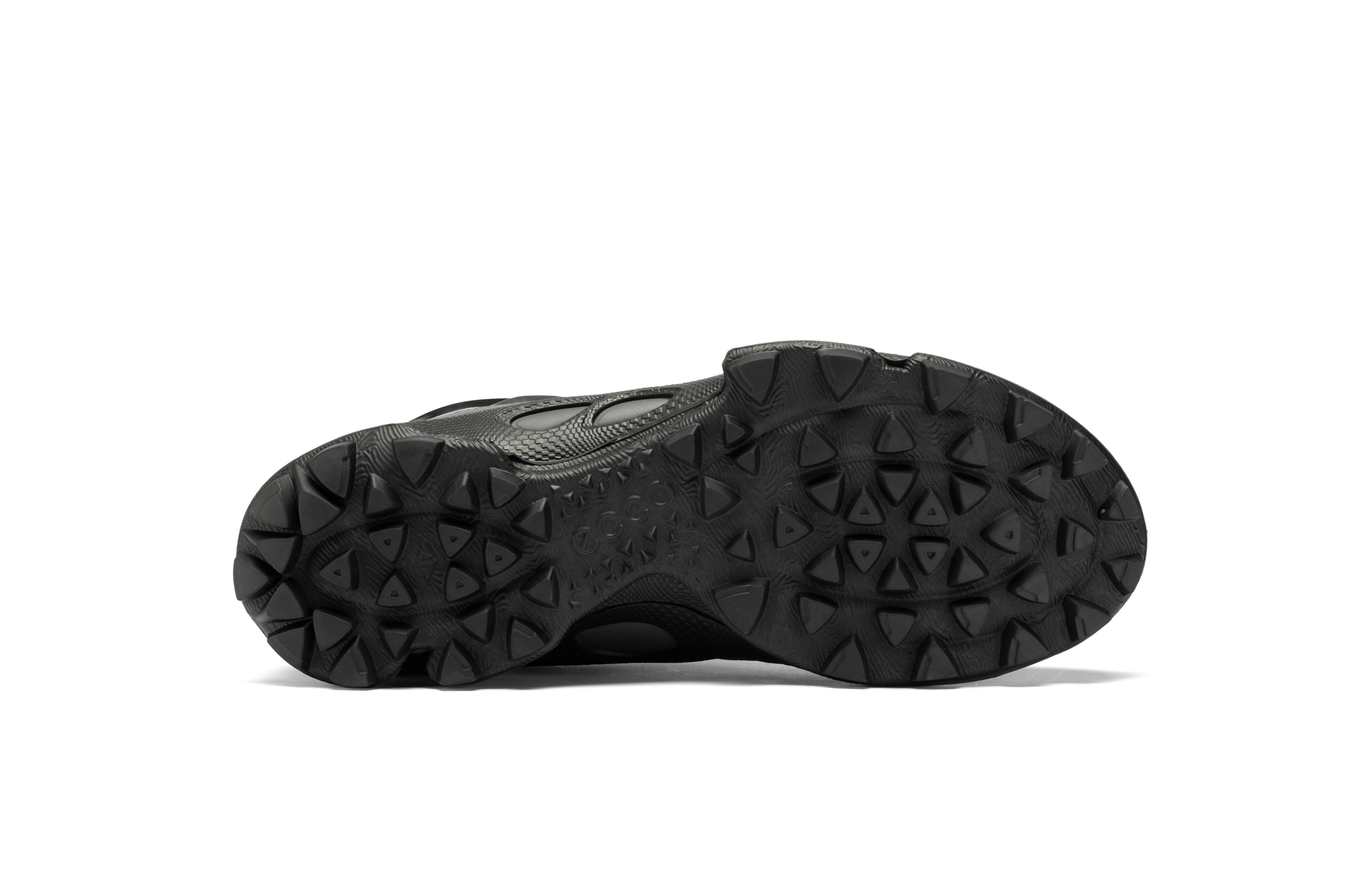 ecco Biom C Trail