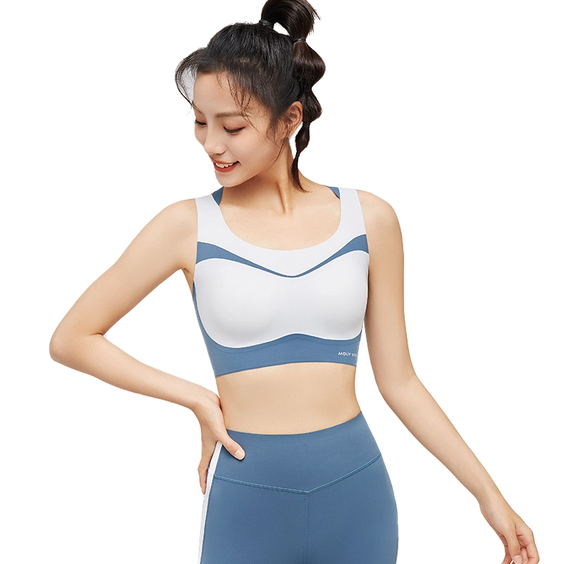 MOLY VIVI