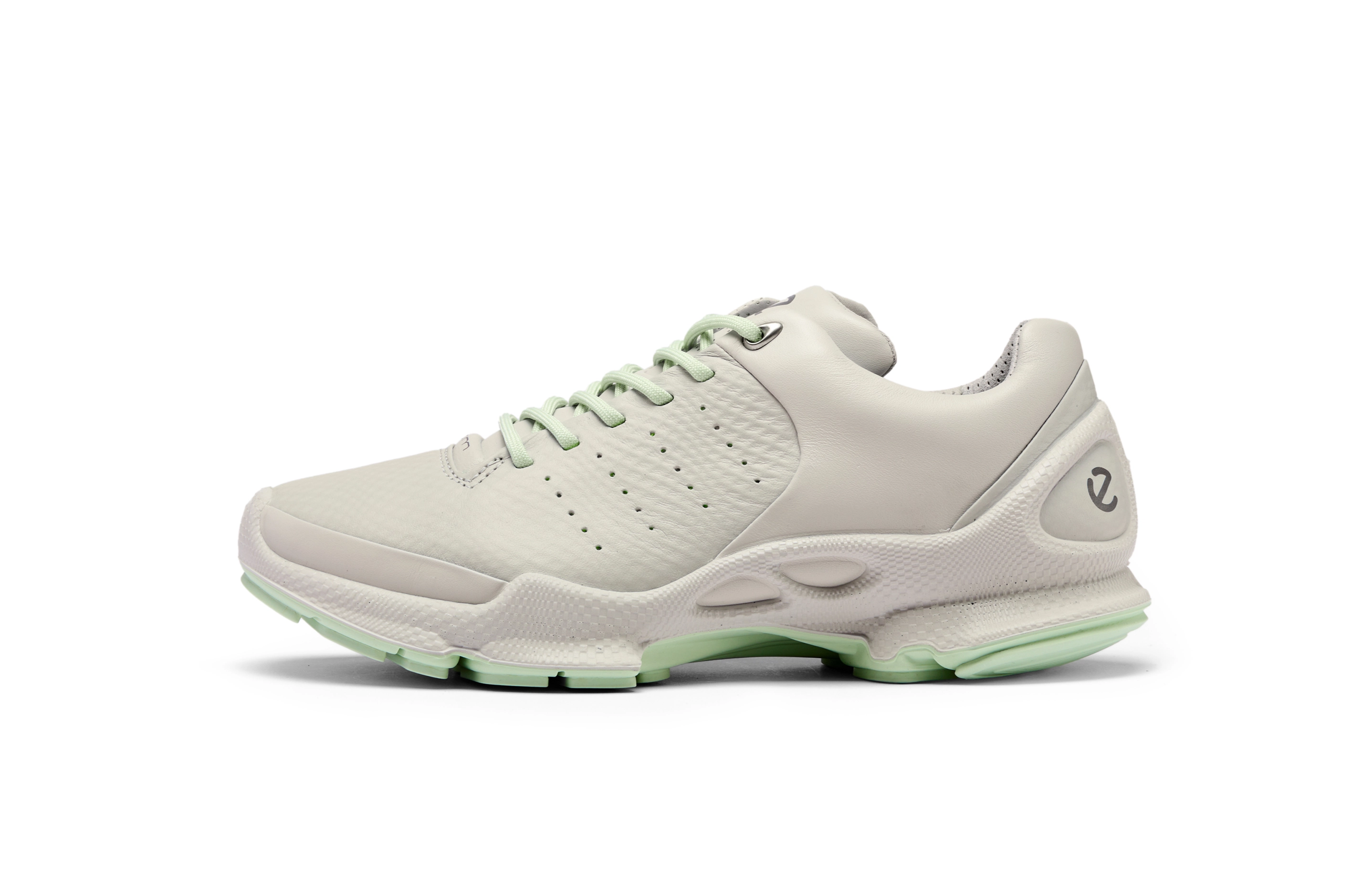 ecco Biom C