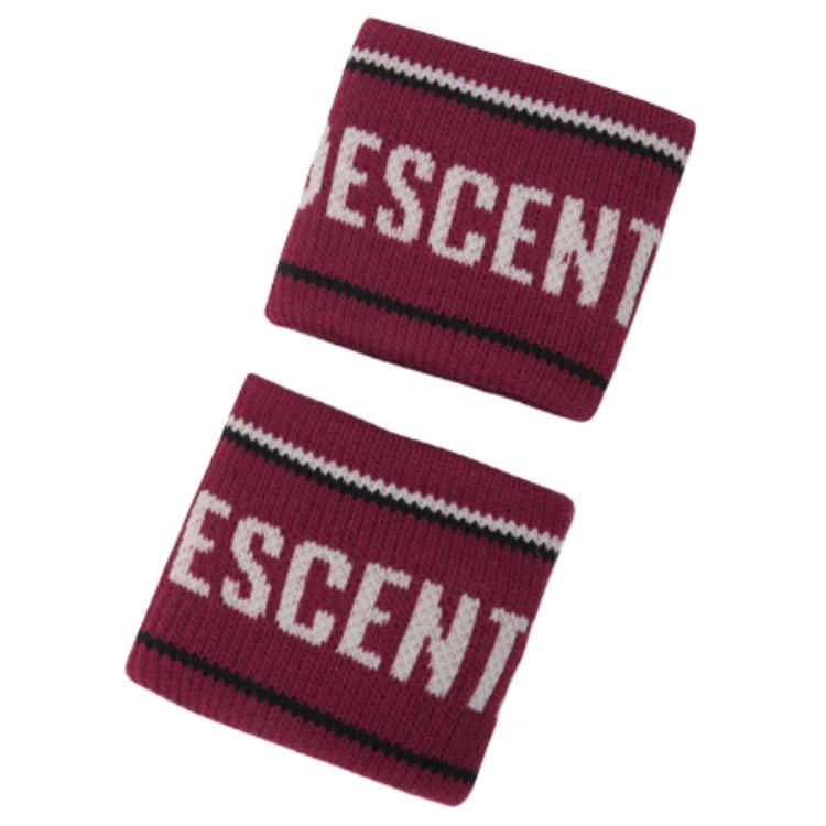 DESCENTE