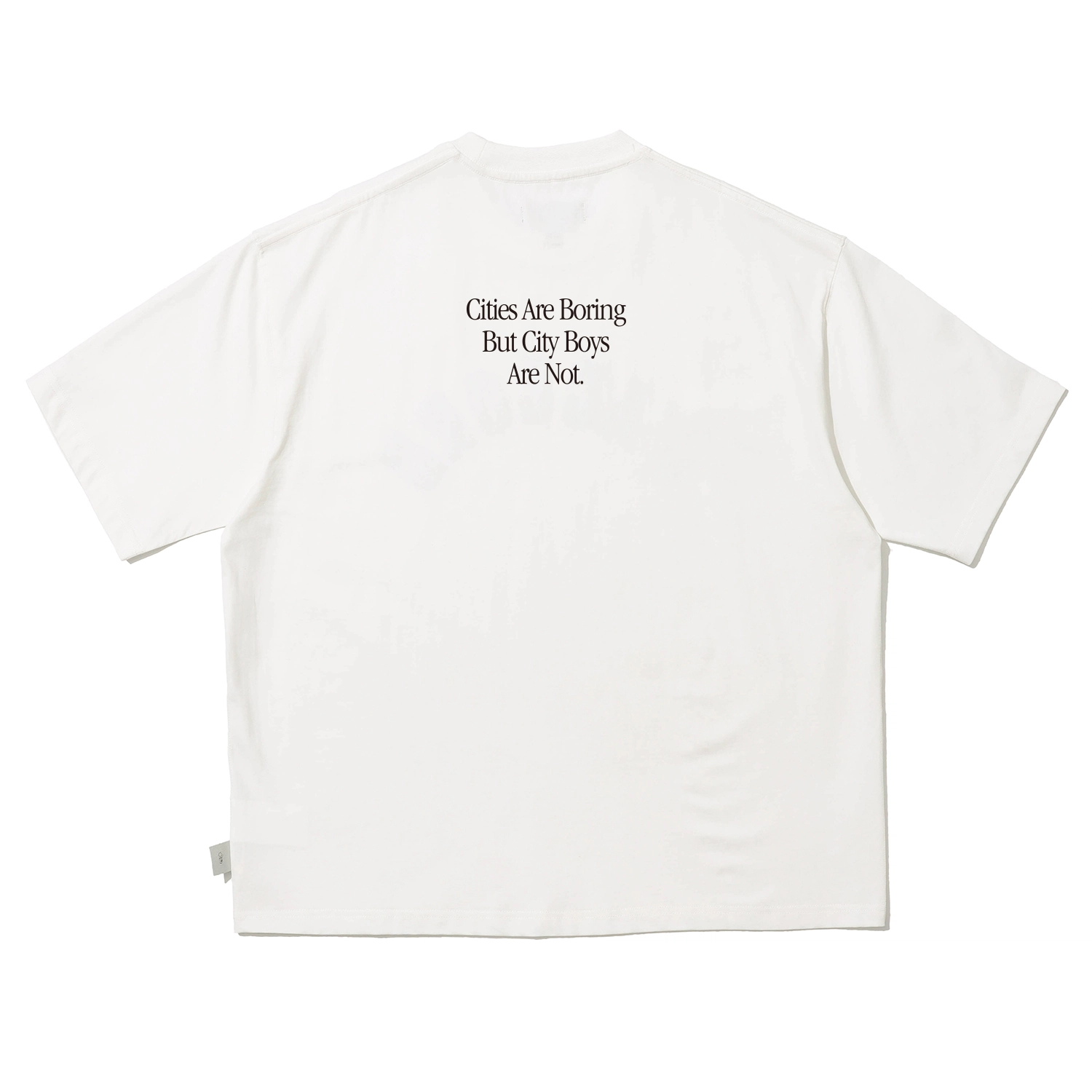 PIN SKTBS T