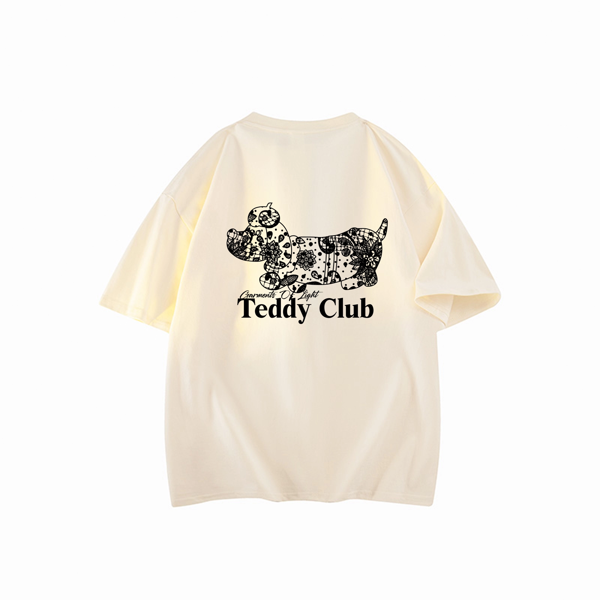 TEDDY College LOG0T