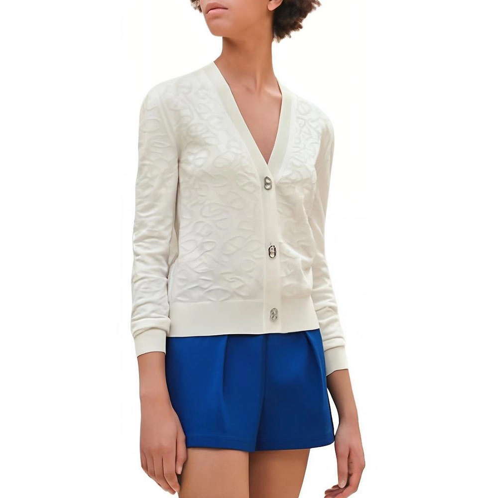 HERMES SS24 V