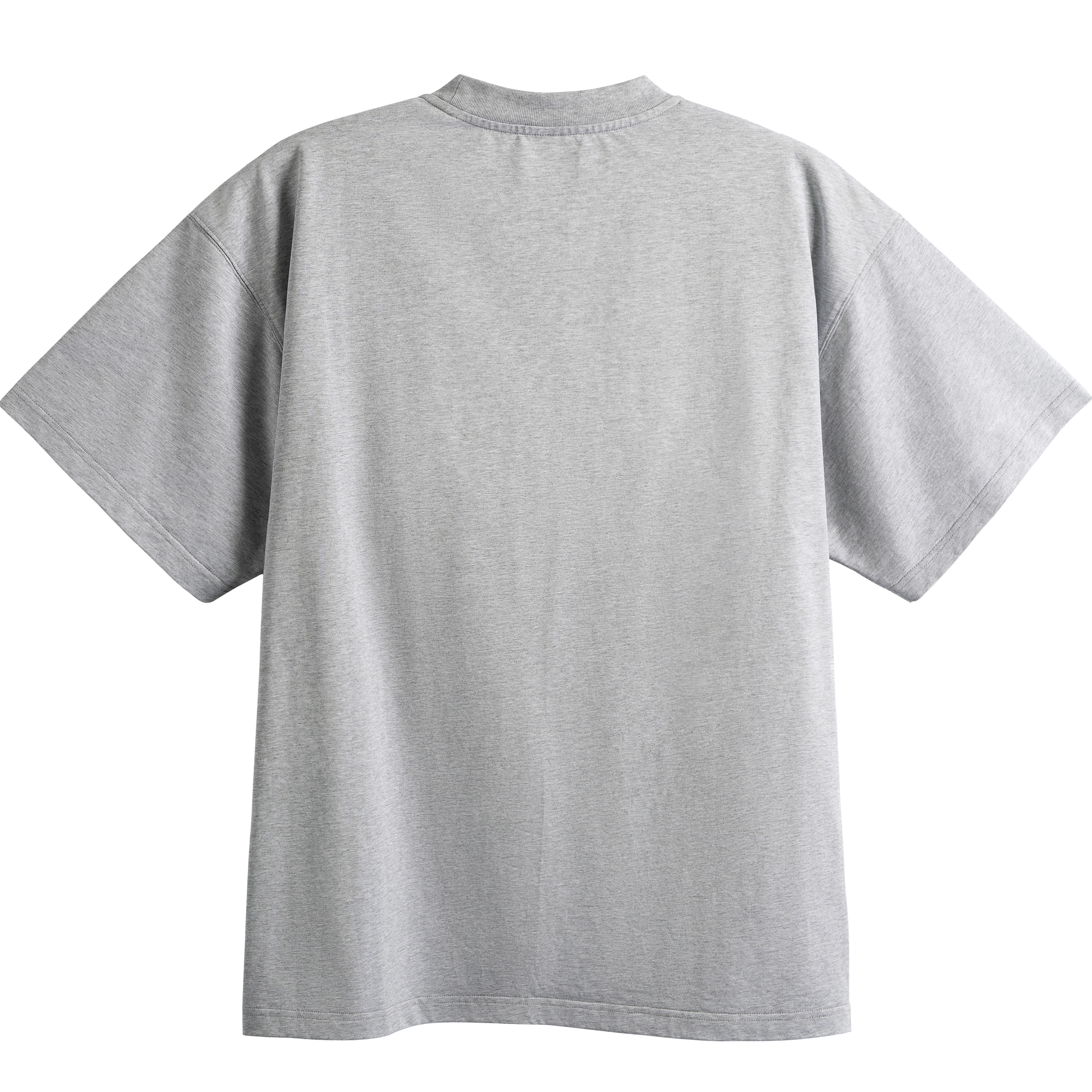 DBW DOUBLEWIN T