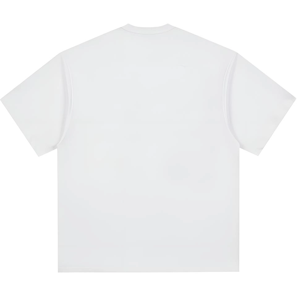 PUNCTILIOUS T