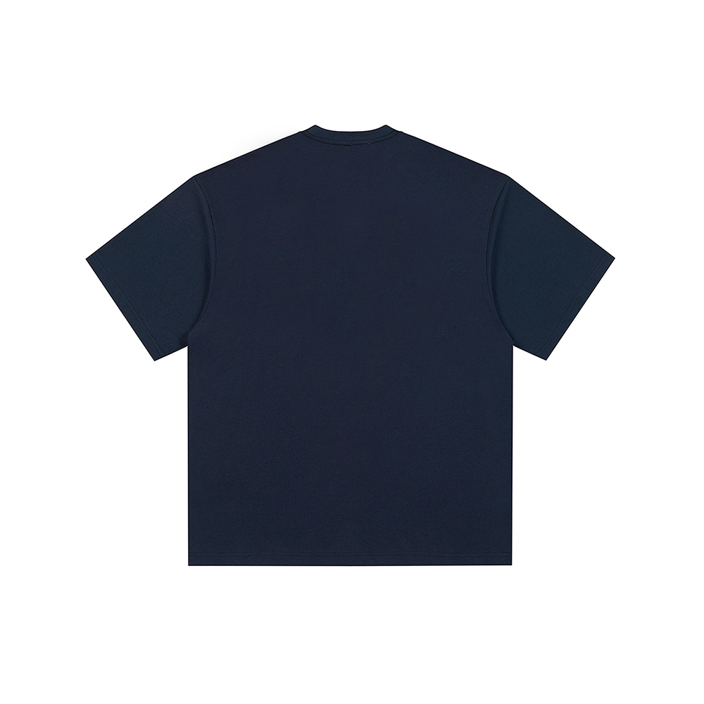 PUNCTILIOUS T