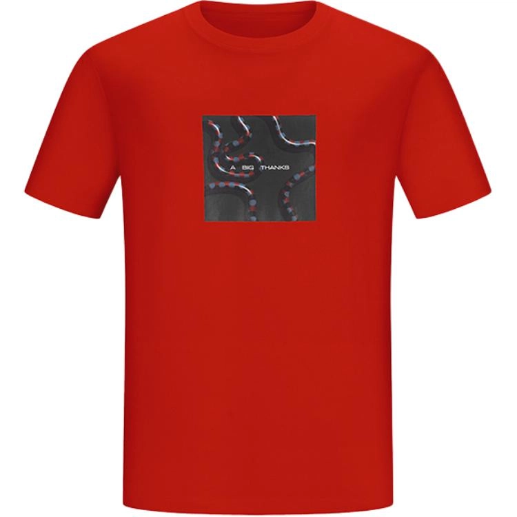 abigthanks T