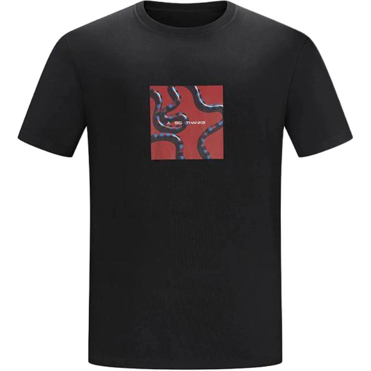 abigthanks T