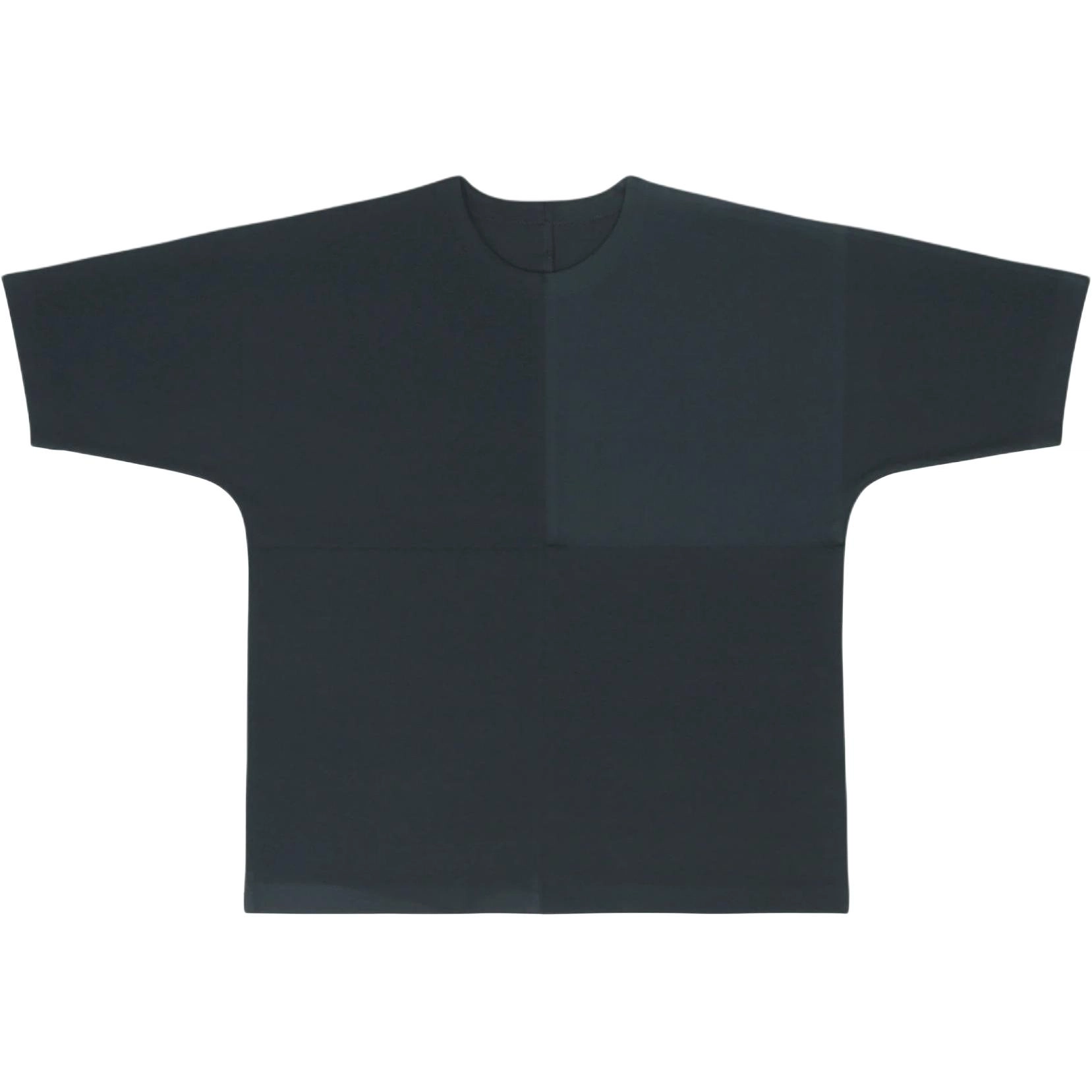 ISSEY MIYAKE FW25 T