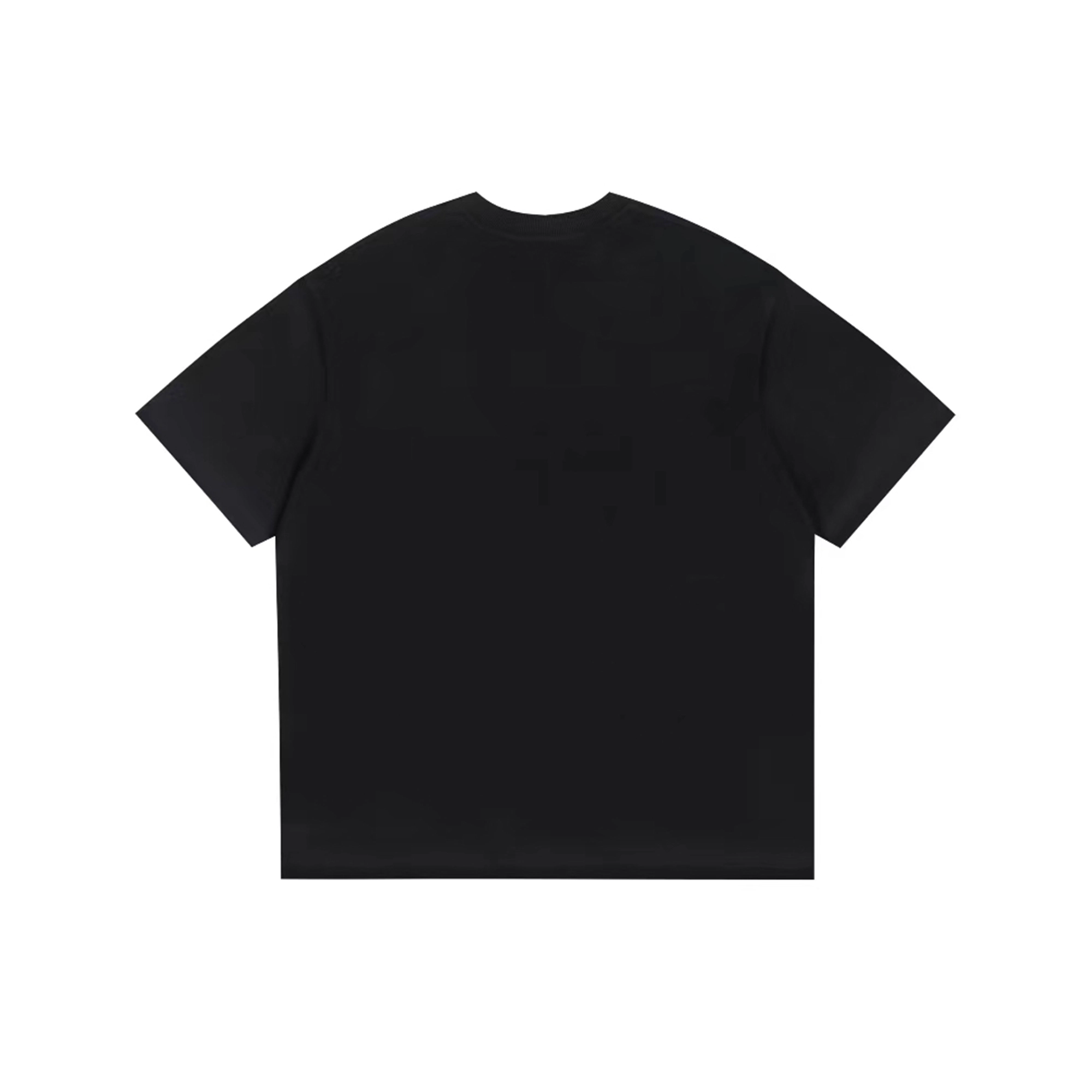 PUNCTILIOUS T