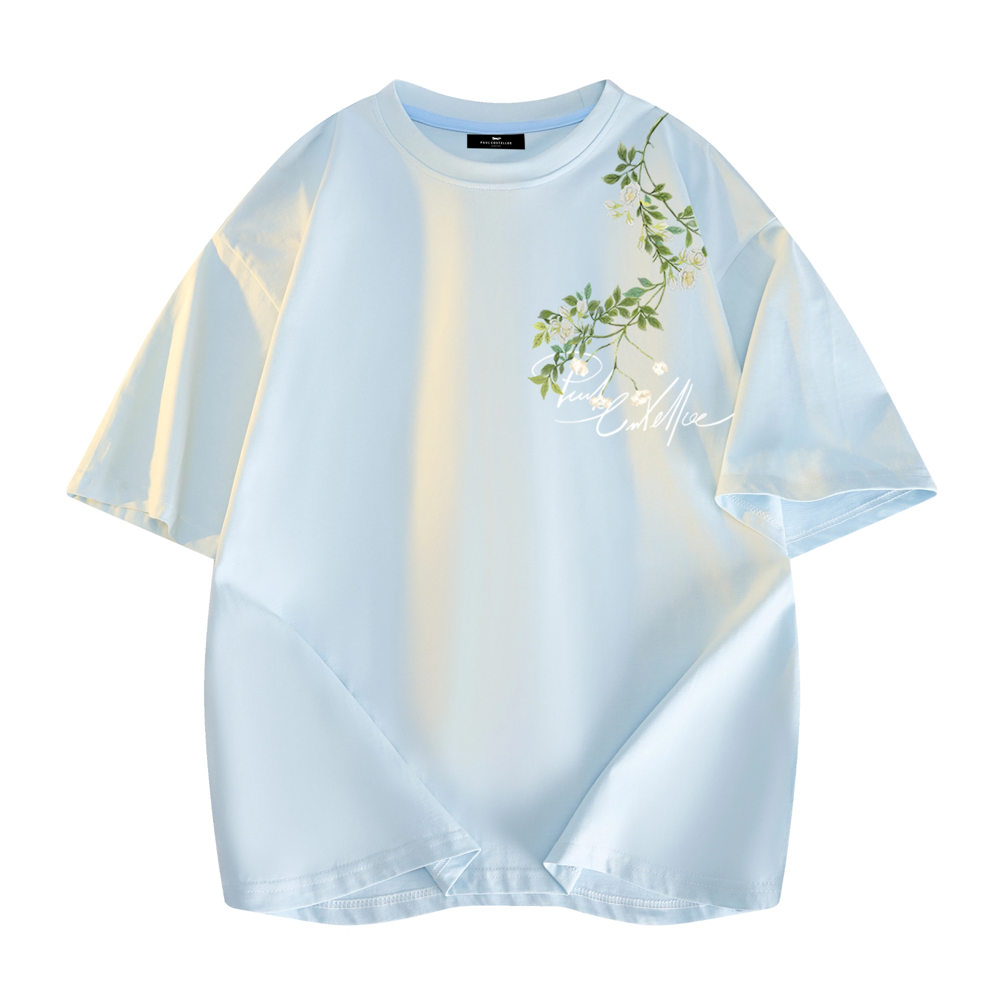 PAUL COSTELLOE logoT