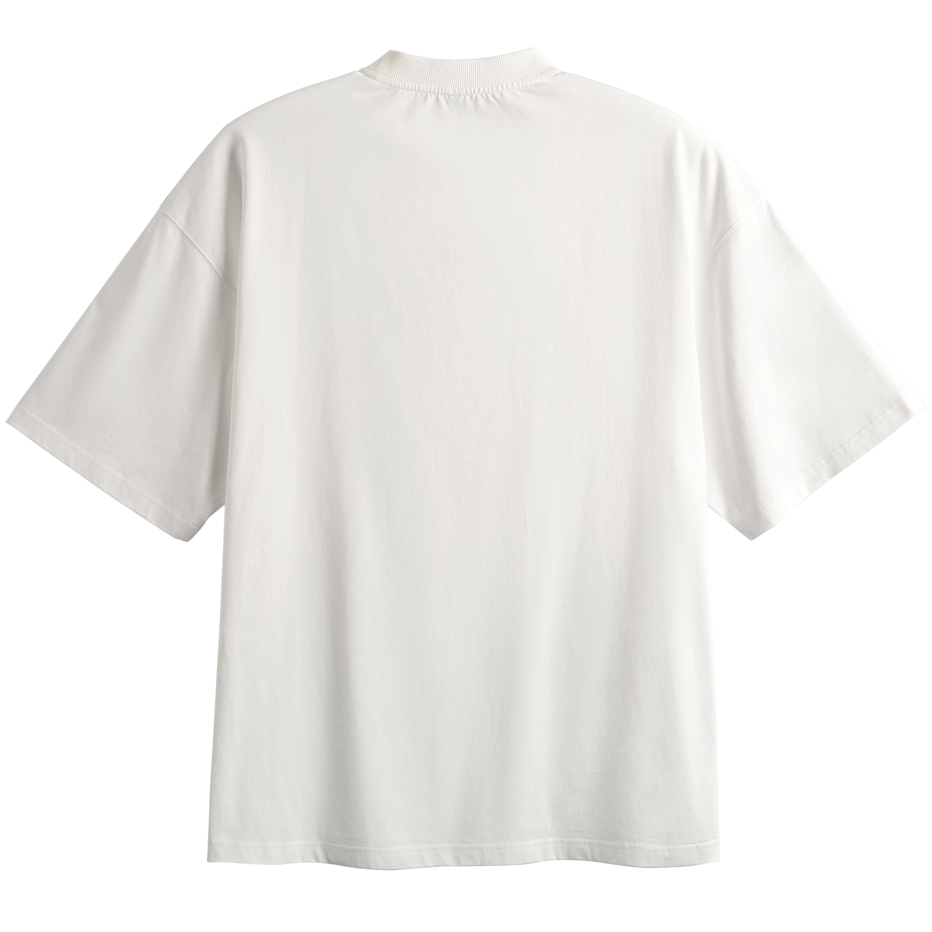 DBW DOUBLEWIN T