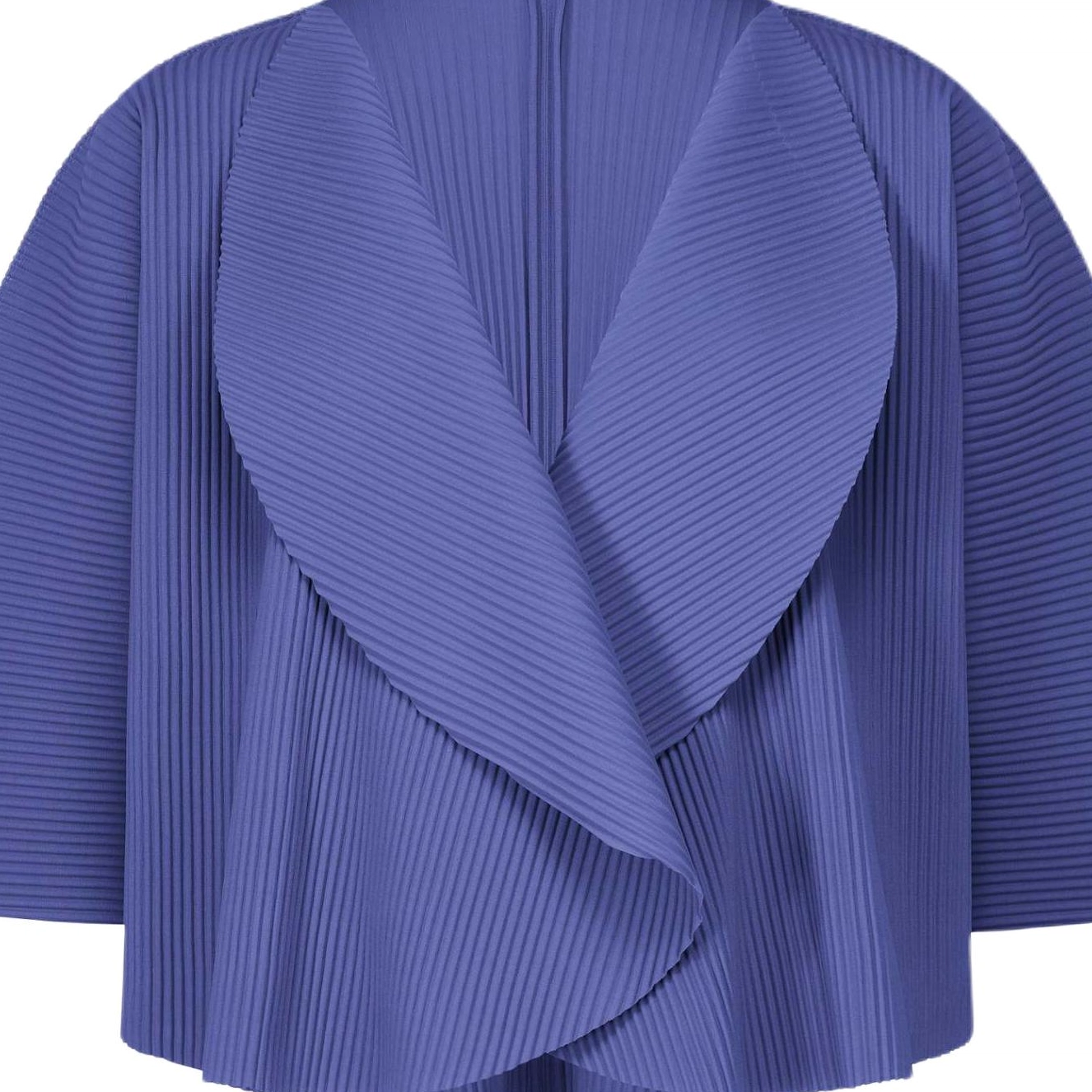ISSEY MIYAKE FW25