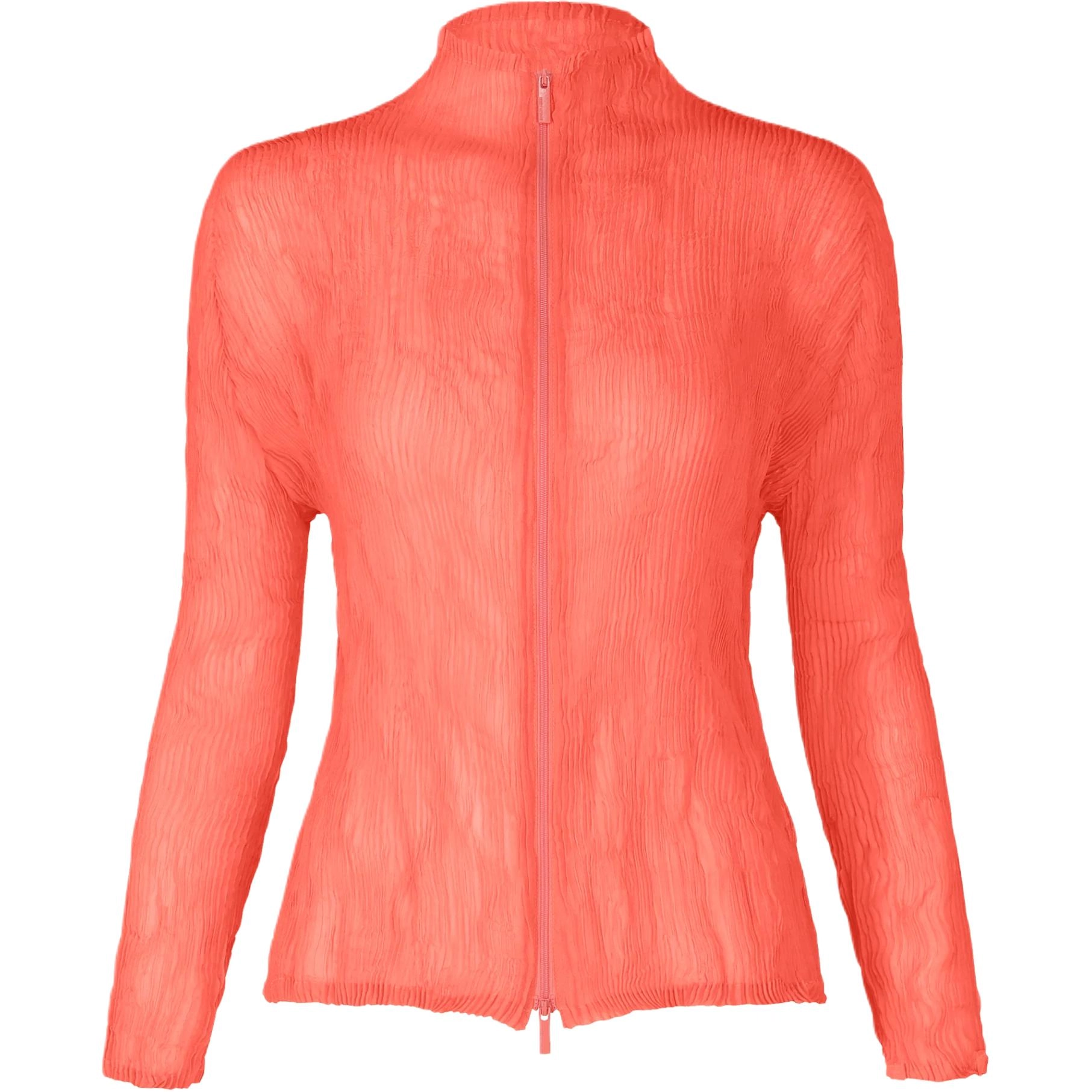 ISSEY MIYAKE FW25 T