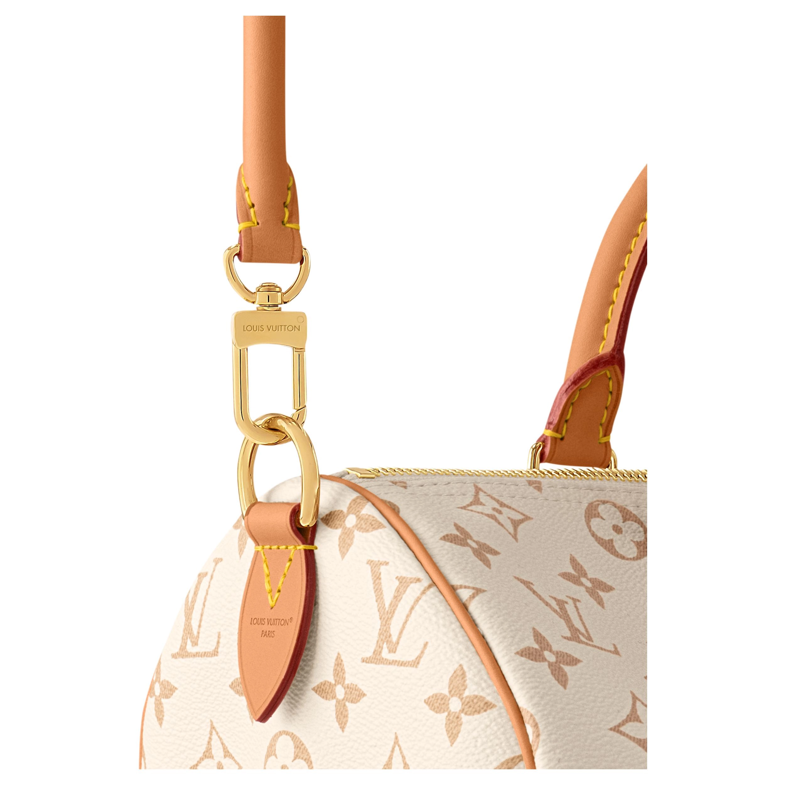 LOUIS VUITTON SPEEDY SOFT 30 LUCKY