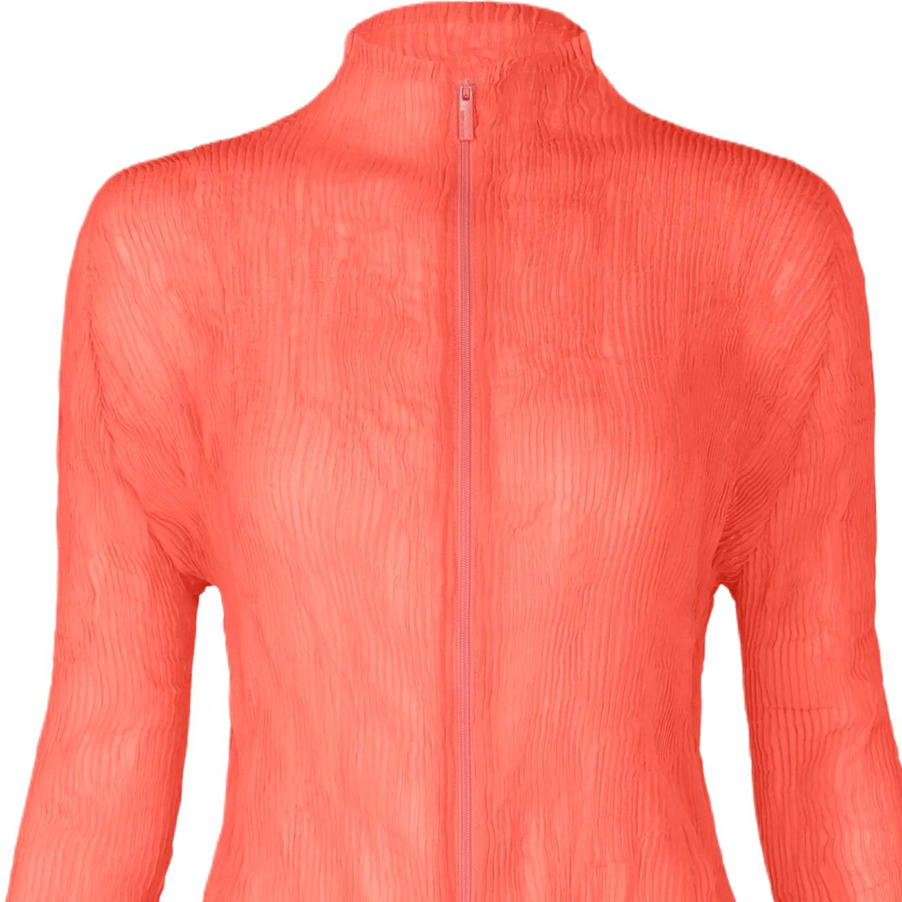 ISSEY MIYAKE FW25 T