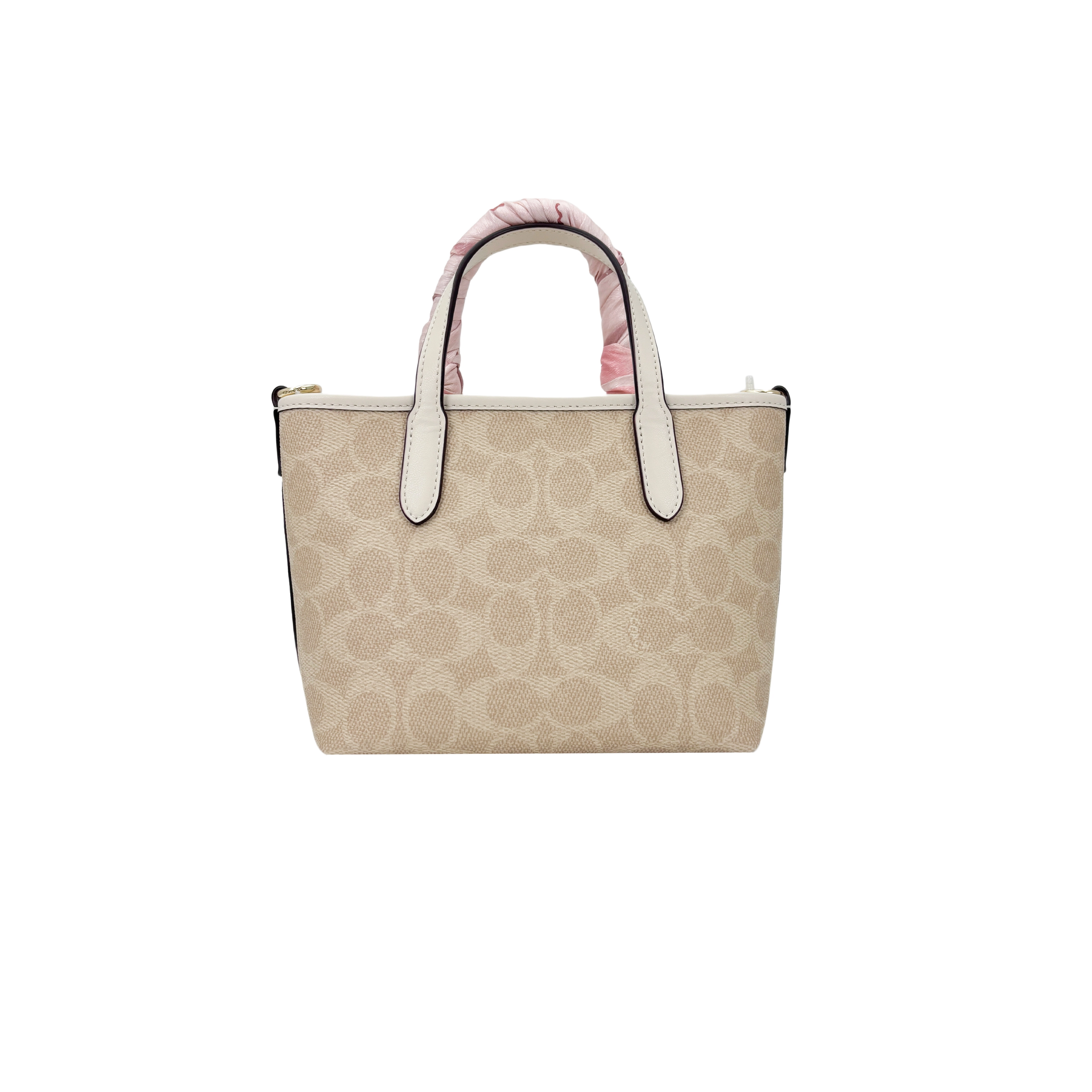 COACH City 15 Tote Lazy Cat