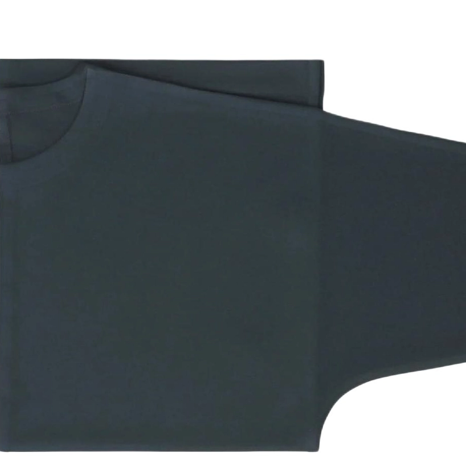 ISSEY MIYAKE FW25 T