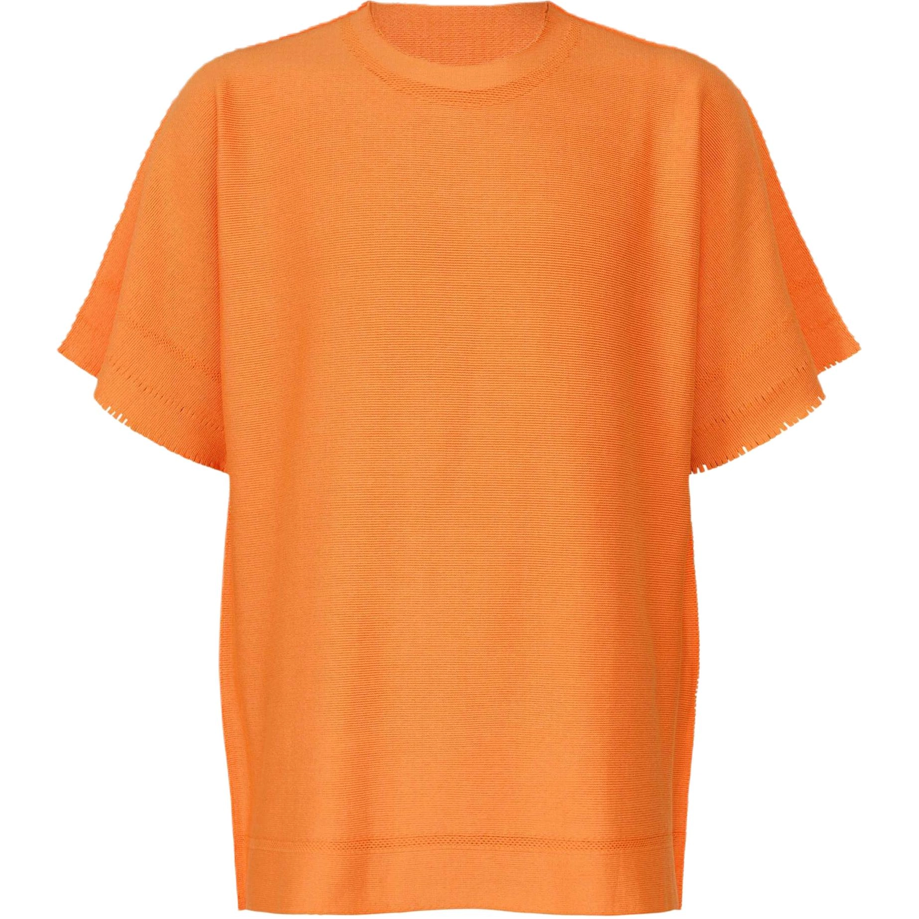 ISSEY MIYAKE FW25 T