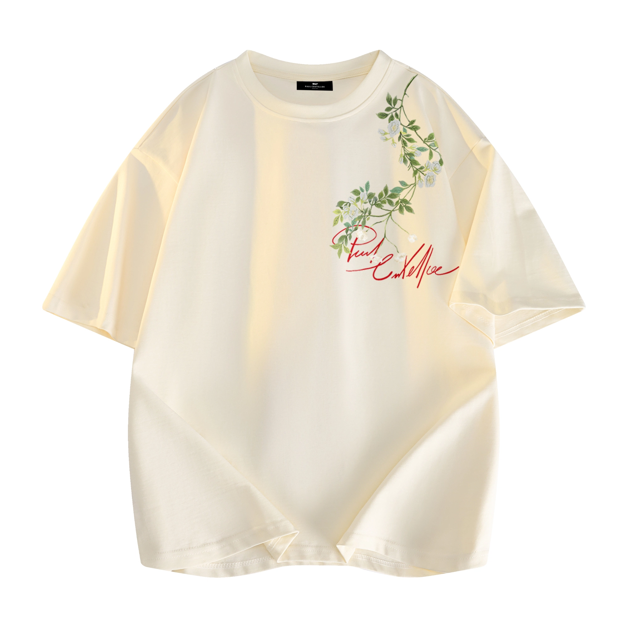 PAUL COSTELLOE logoT