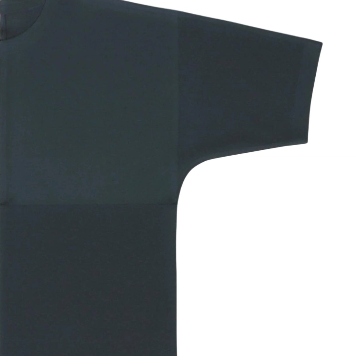 ISSEY MIYAKE FW25 T