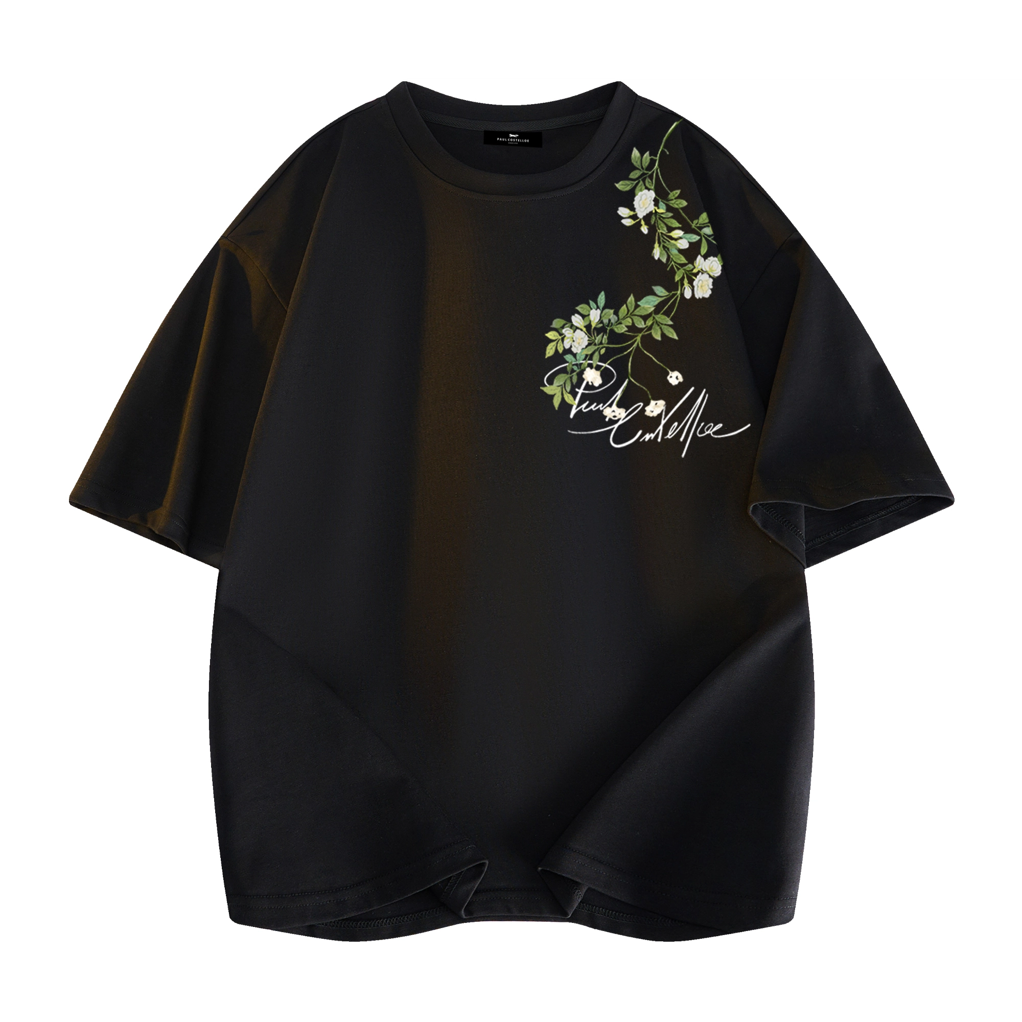 PAUL COSTELLOE logoT