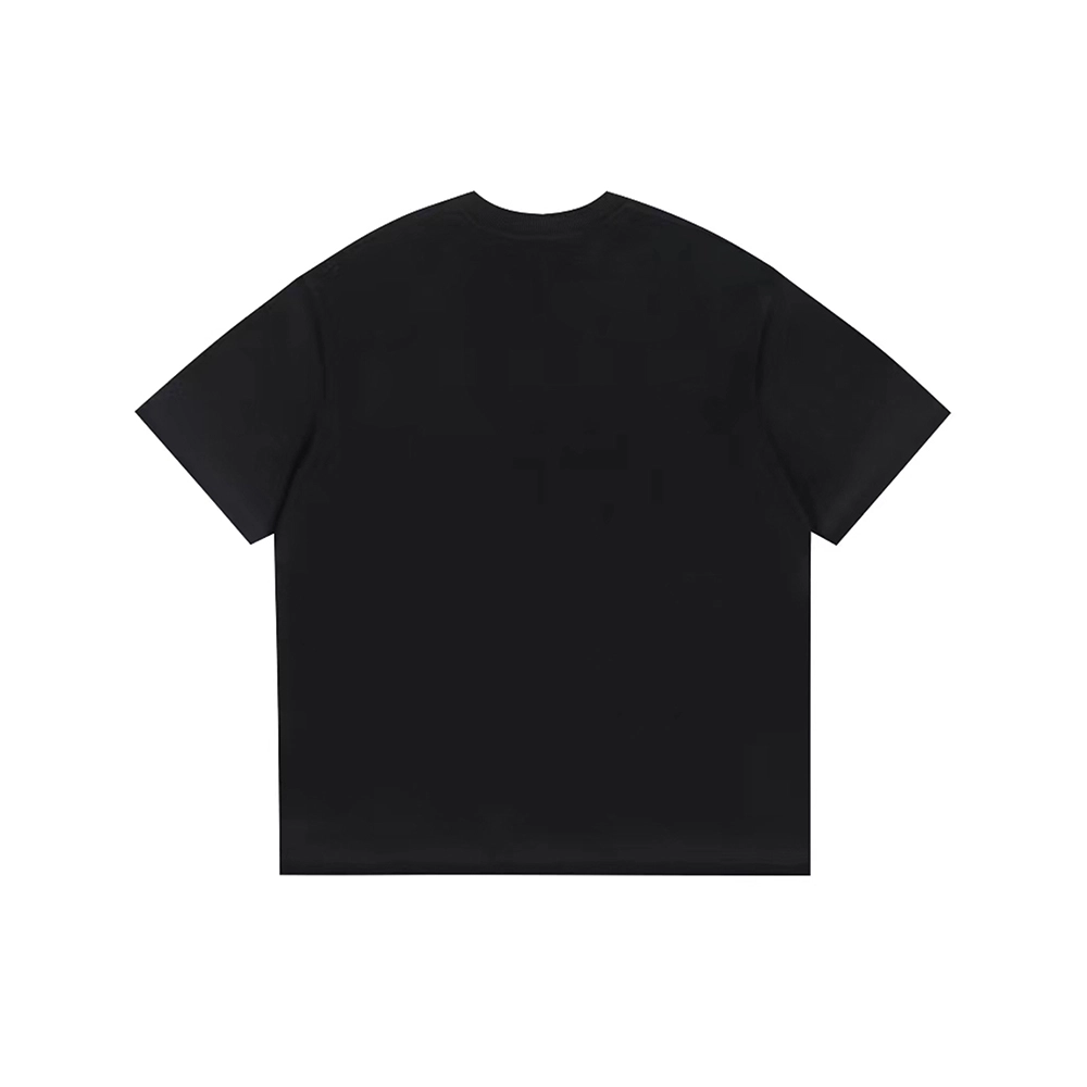 PUNCTILIOUS T