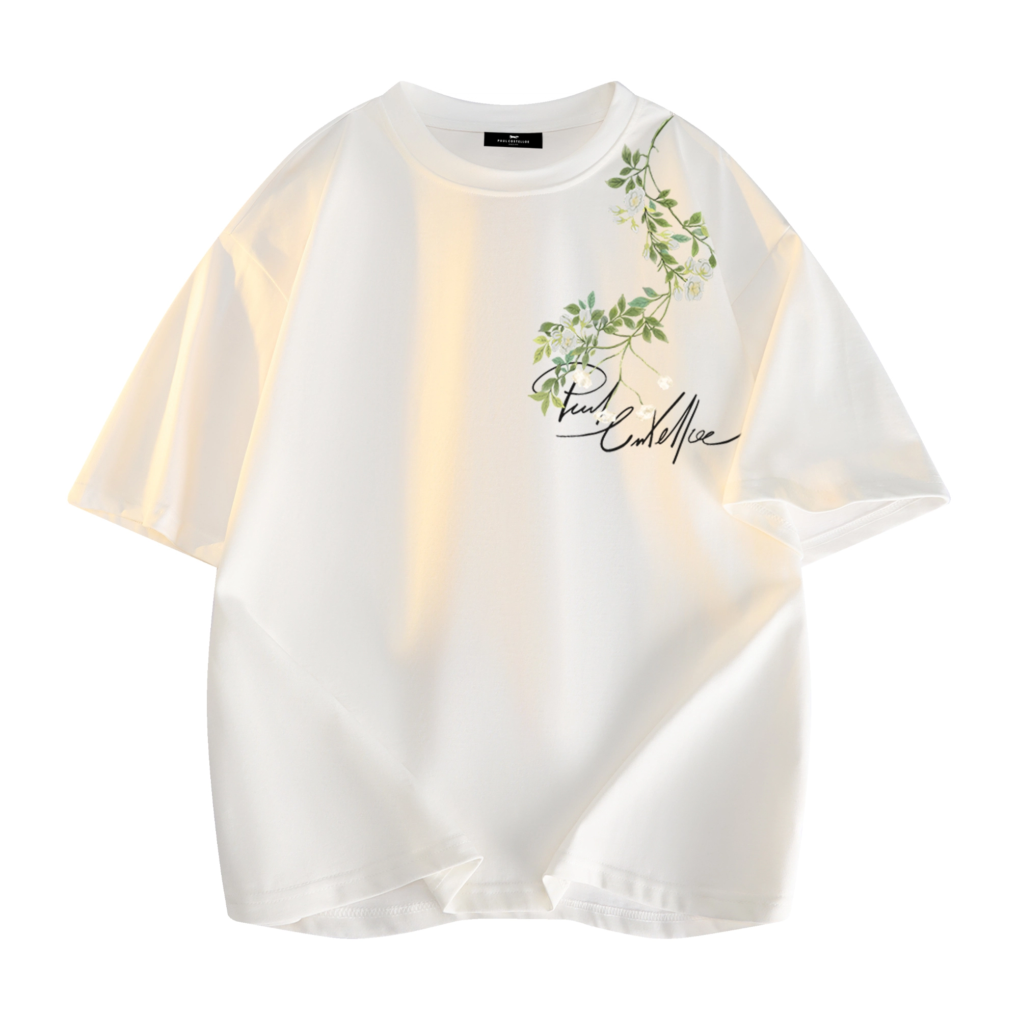 PAUL COSTELLOE logoT